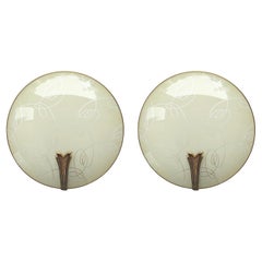 Pair of French Vintage Midcentury Wall Lights Sconces, 1950s