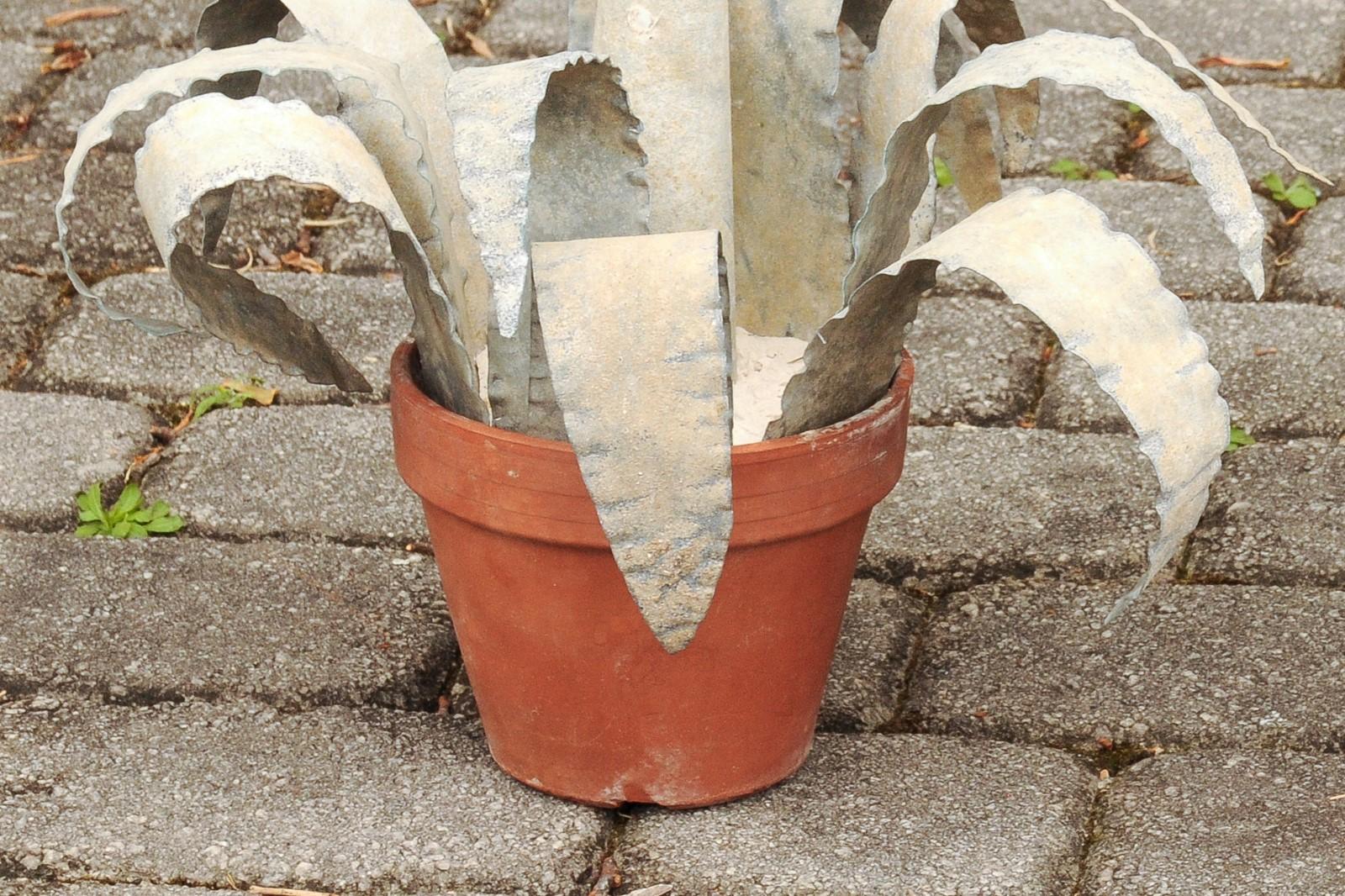 Mid-Century Modern Two French Vintage Midcentury Zinc Agave Plant Sculptures in Terracotta Pots