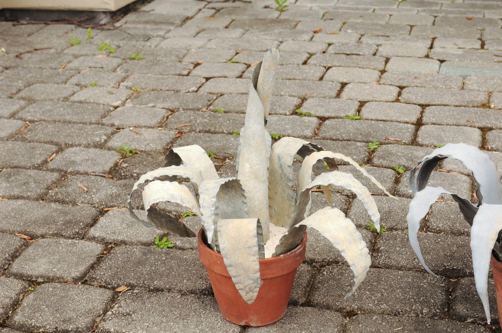 Two French Vintage Midcentury Zinc Agave Plant Sculptures in Terracotta Pots 1