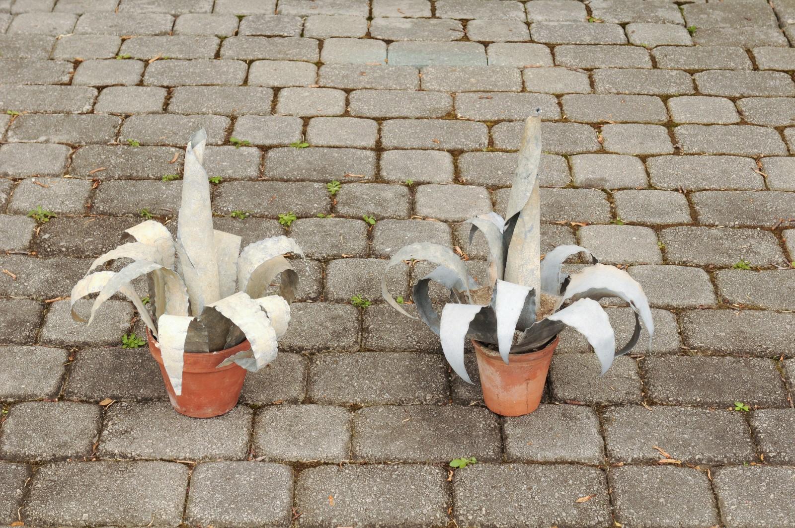 Two French Vintage Midcentury Zinc Agave Plant Sculptures in Terracotta Pots 3