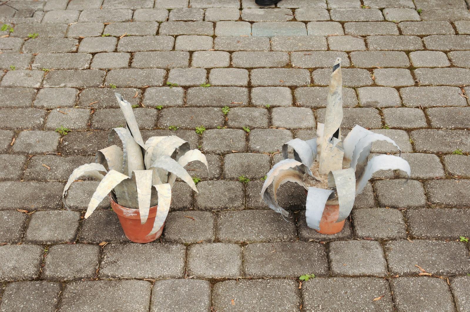 Two French Vintage Midcentury Zinc Agave Plant Sculptures in Terracotta Pots 4