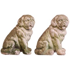 Pair of French Vintage Patinated Cast Stone Saint Bernard Dogs Sculptures