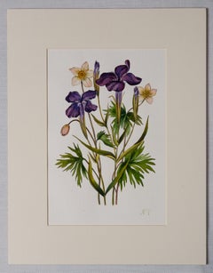 Pair of Antique Watercolors of Iris and Tulips, 52x40 cm, Excellent