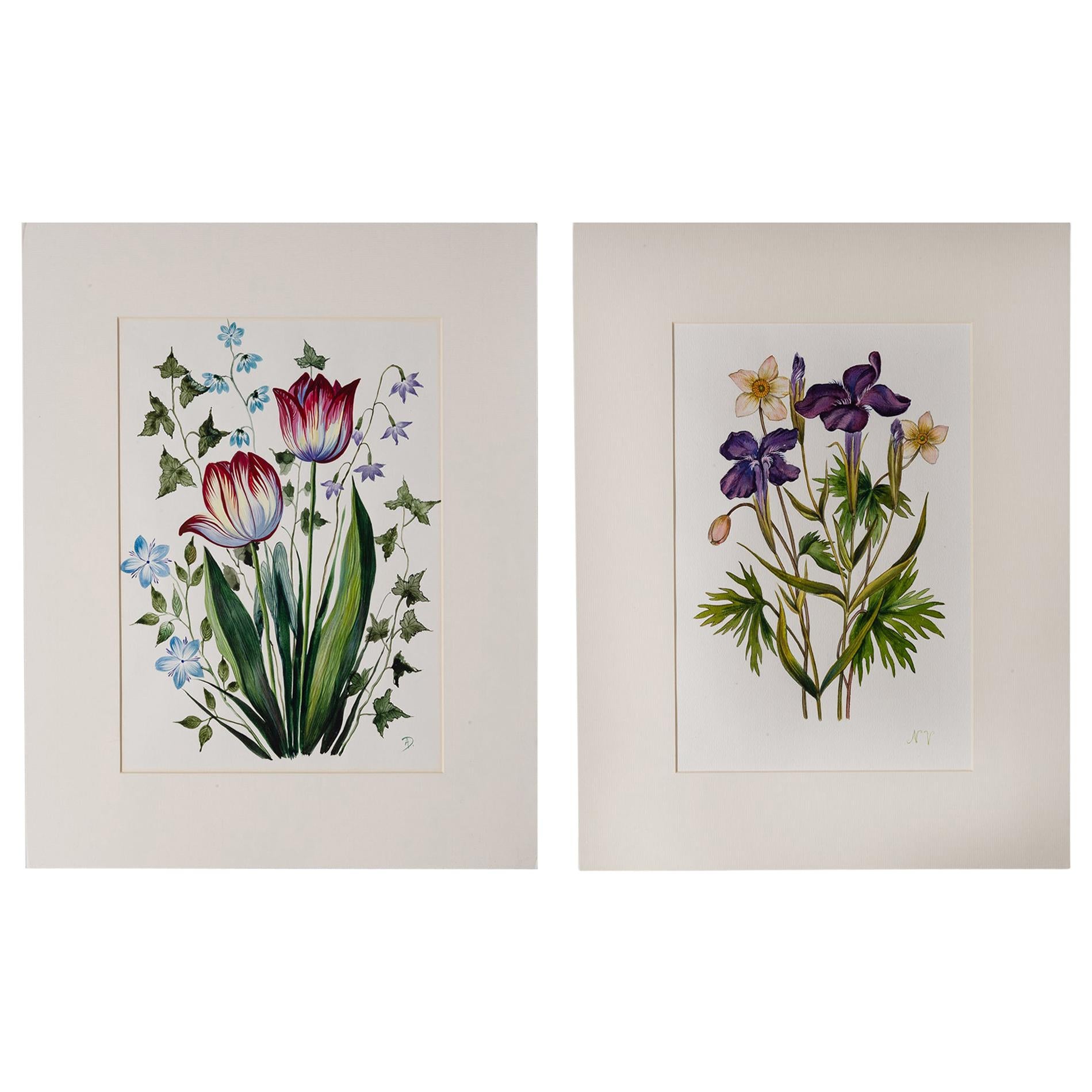 Pair of French Watercolors "Flowers"