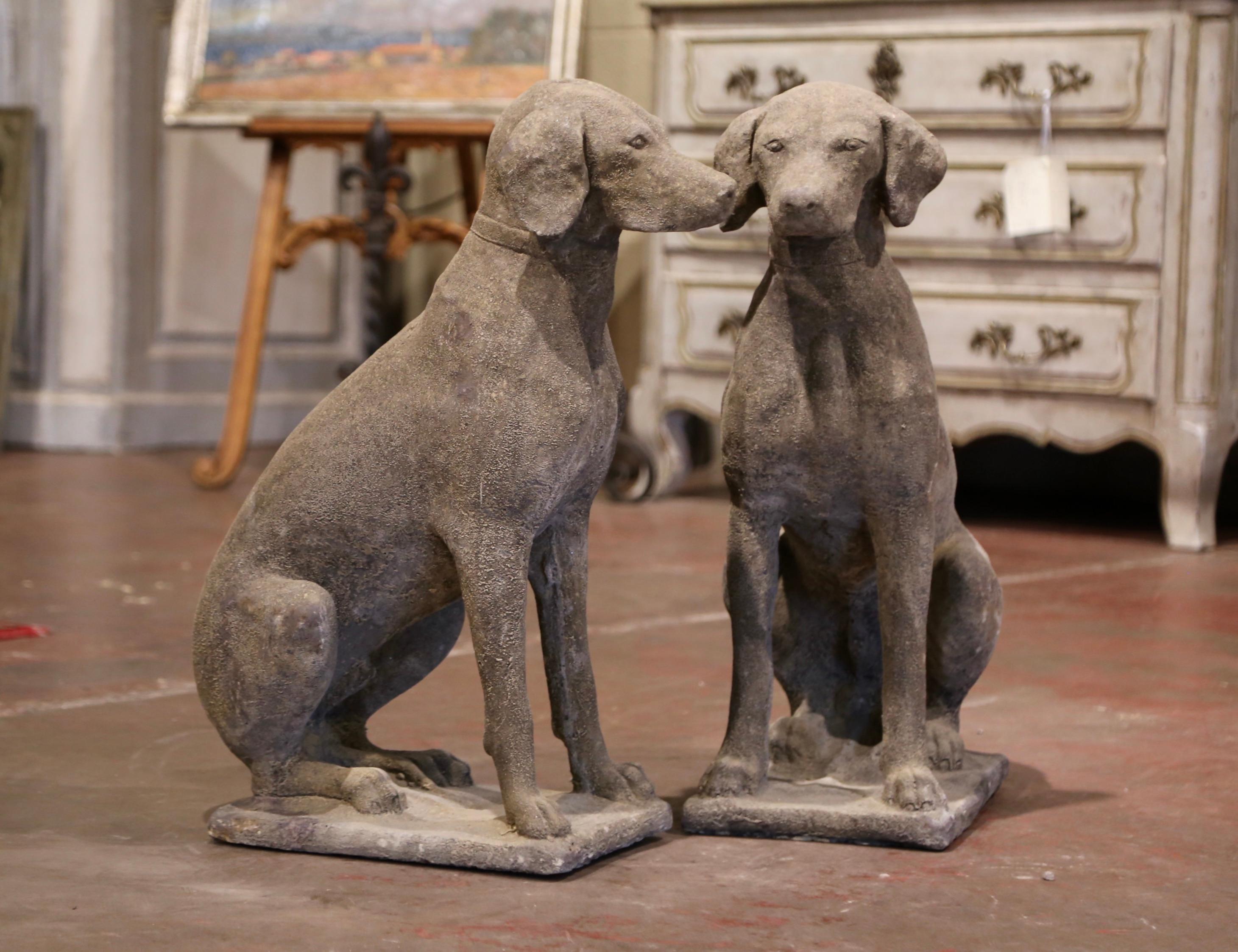 The hunting dogs sculptures were crafted in France, circa 2000. The stately, vintage Labradors with collar are set on a flat base and sitting on their back legs; they have wonderful expression and are further embellished with a collar around their