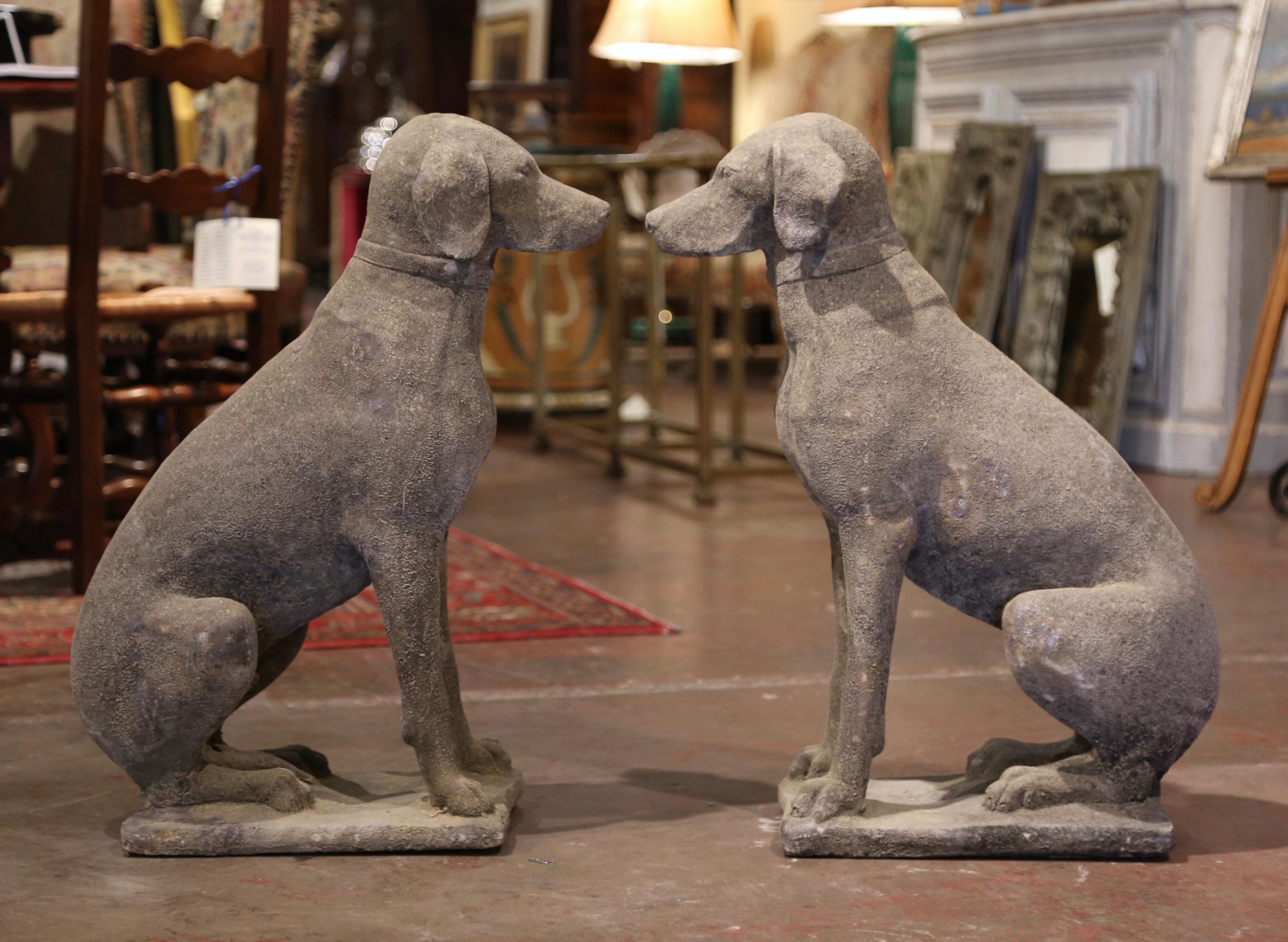 Patinated Pair of French Weathered Carved Stone Labrador Dog Sculptures Garden Statuary