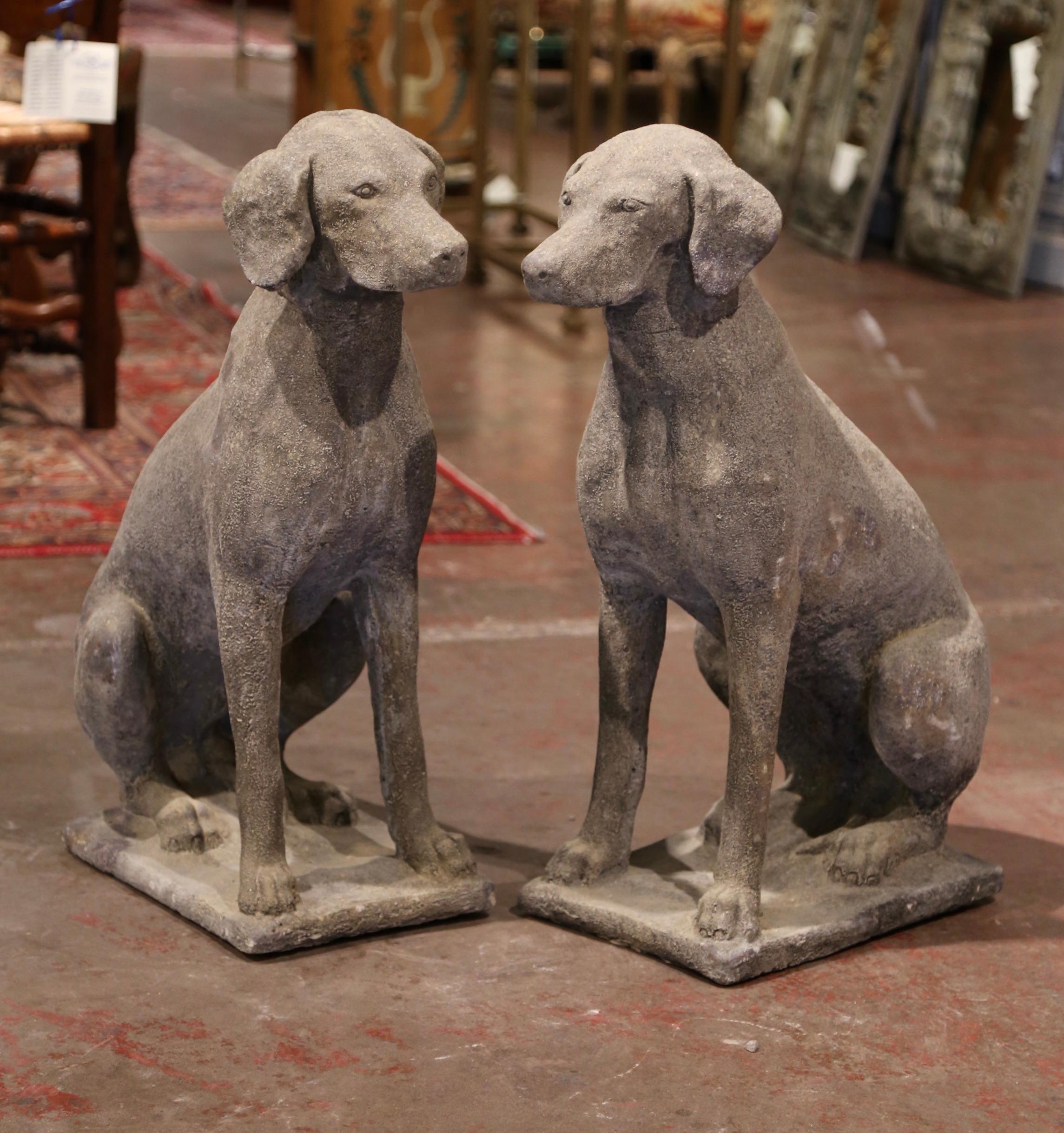 Pair of French Weathered Carved Stone Labrador Dog Sculptures Garden Statuary In Excellent Condition In Dallas, TX