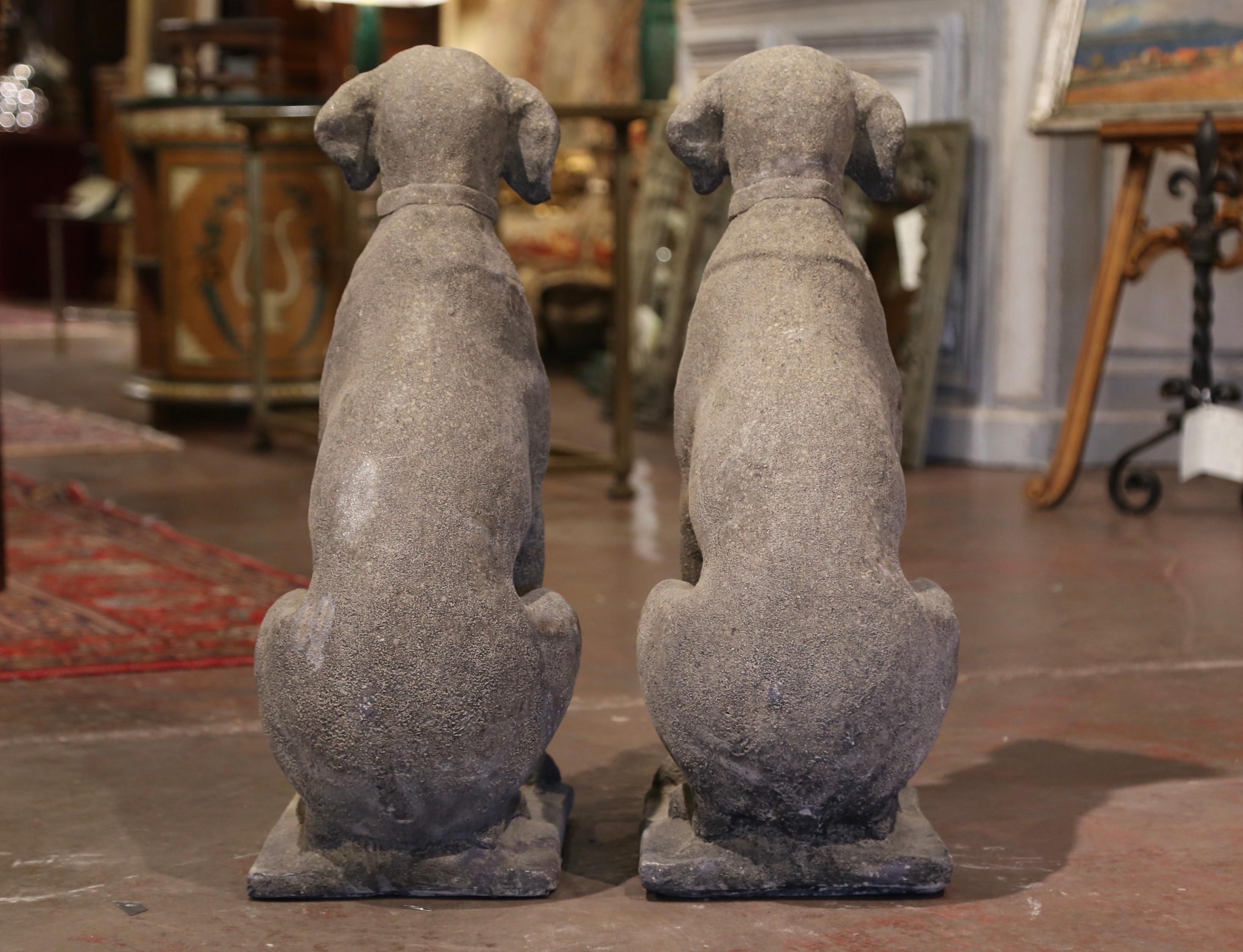 Contemporary Pair of French Weathered Carved Stone Labrador Dog Sculptures Garden Statuary