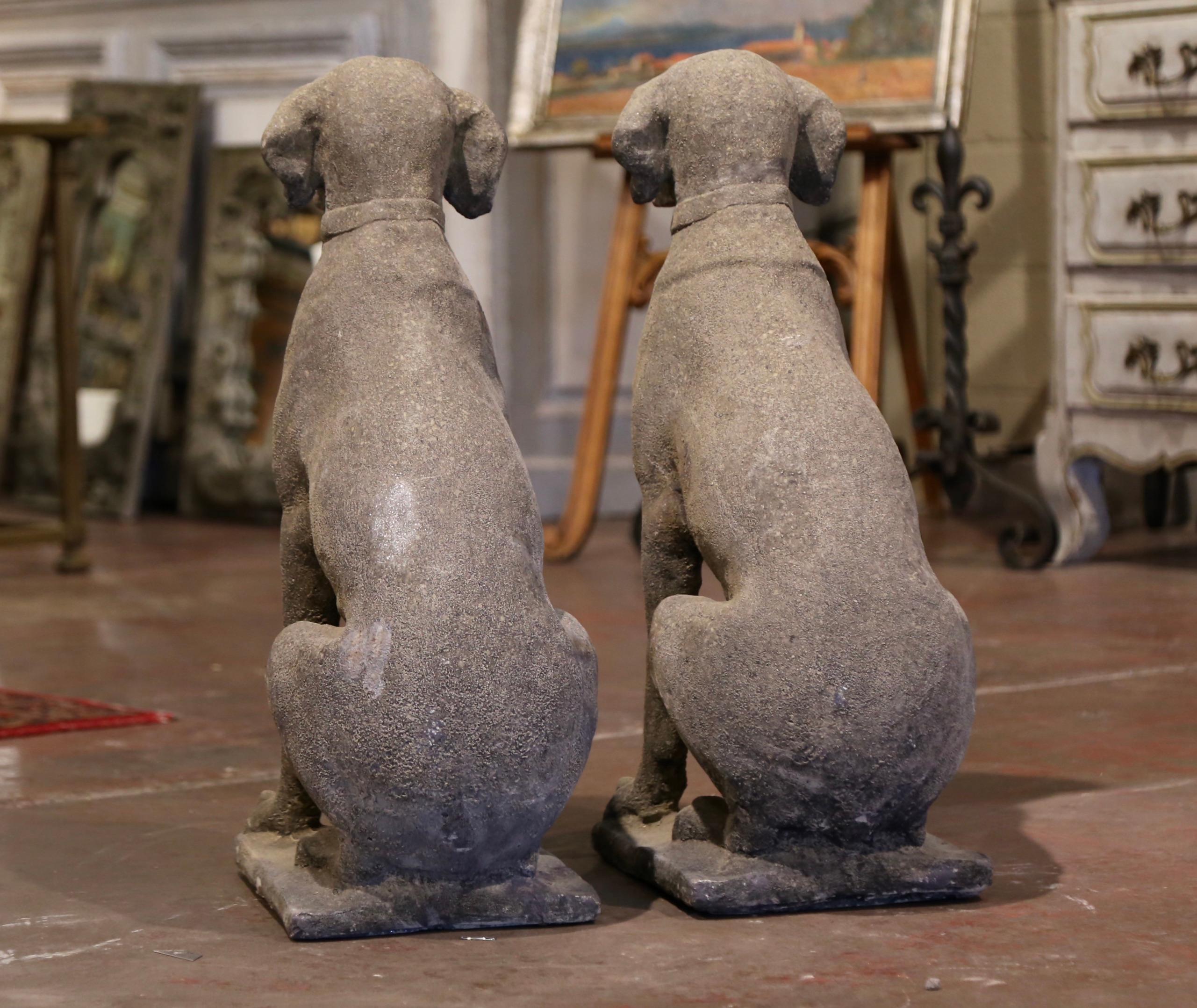 Cast Stone Pair of French Weathered Carved Stone Labrador Dog Sculptures Garden Statuary