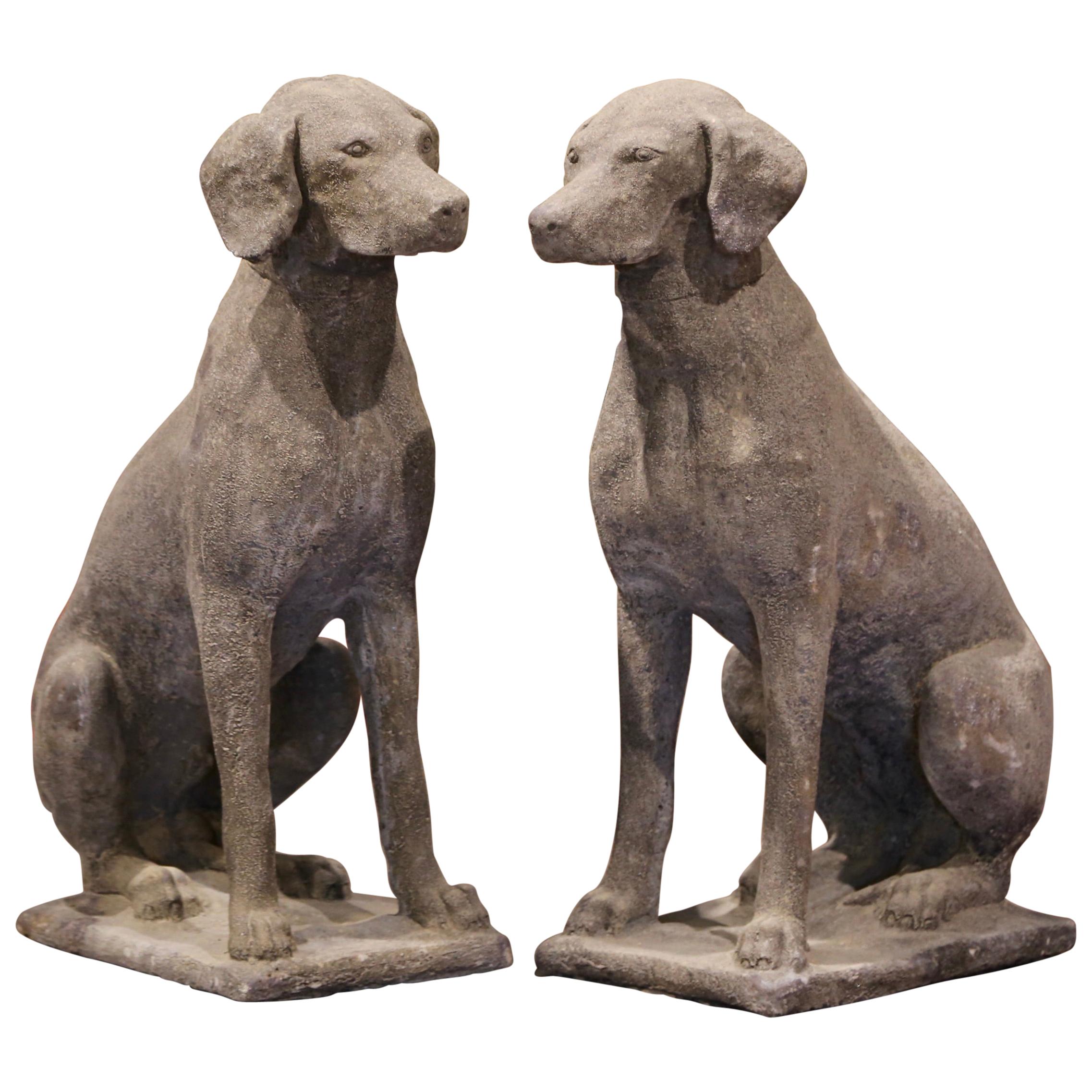 Pair of French Weathered Carved Stone Labrador Dog Sculptures Garden Statuary
