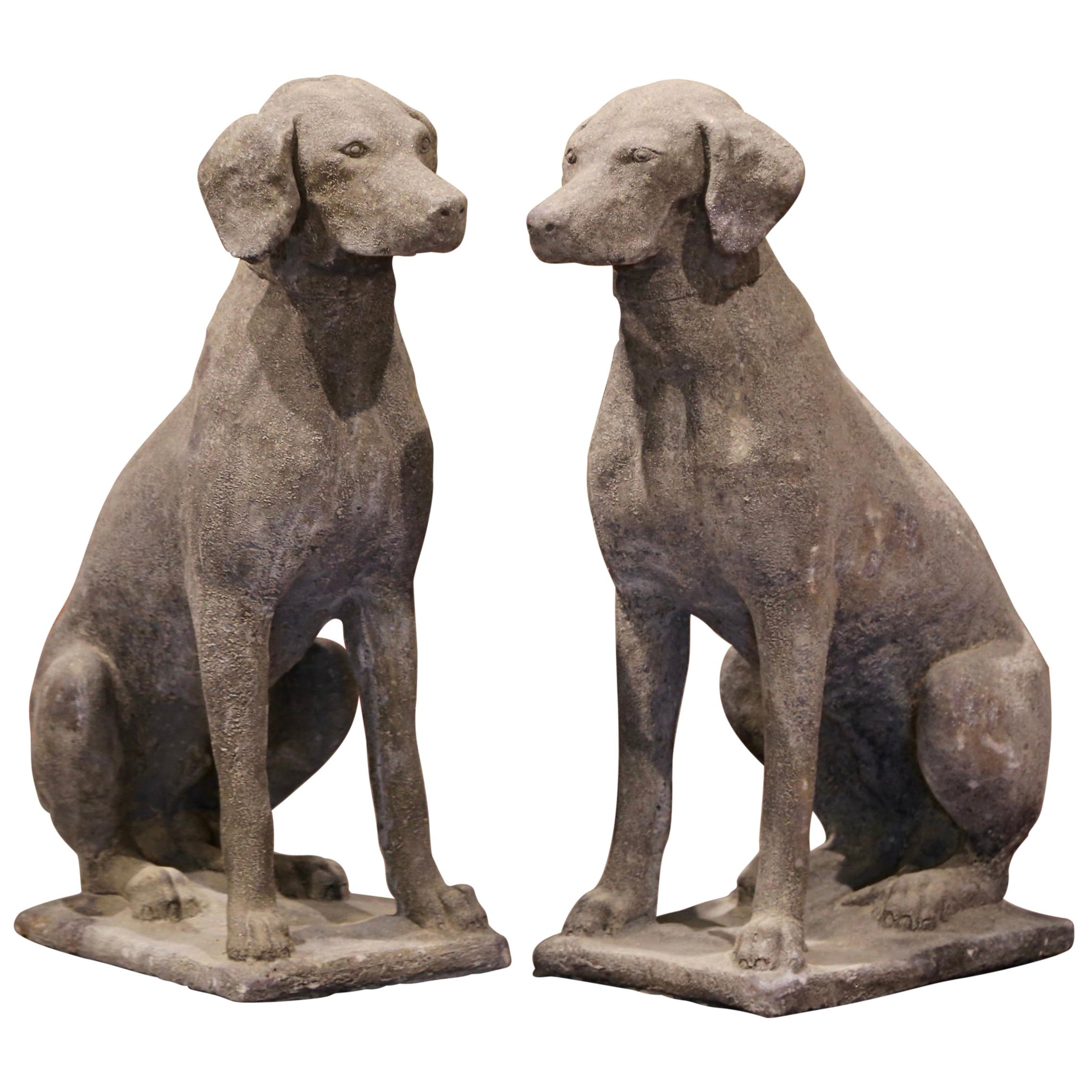 Pair of French Weathered Carved Stone Labrador Dog Sculptures Garden Statuary