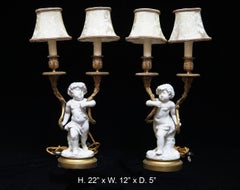 Pair of French White Porcelain and Ormolu Lamps, 19 Century