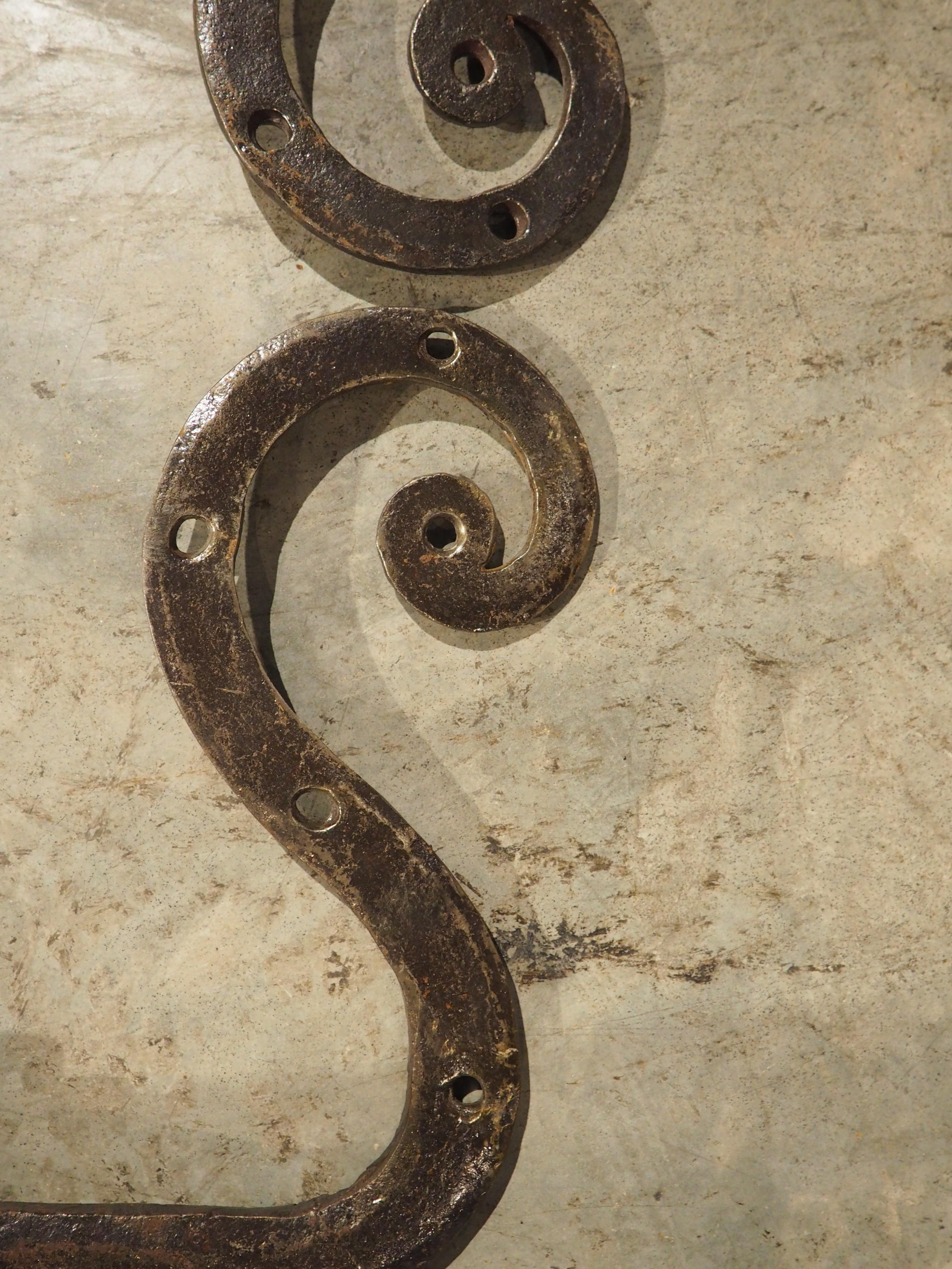 Coppia di cerniere per porte in ferro battuto Fleur De Lys, inizio XX secolo. in vendita 2