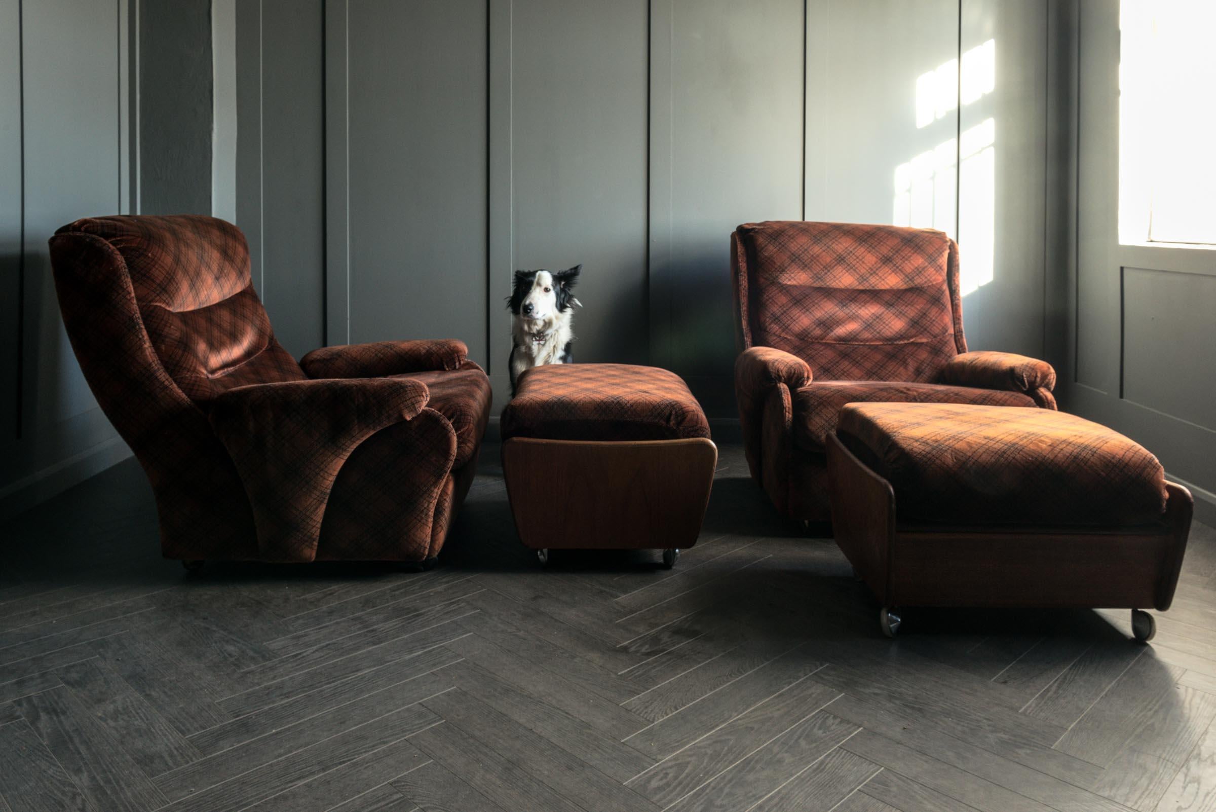 Paar G Plan Mikado-Stühle mit Hockern im Zustand „Relativ gut“ im Angebot in Alton, GB