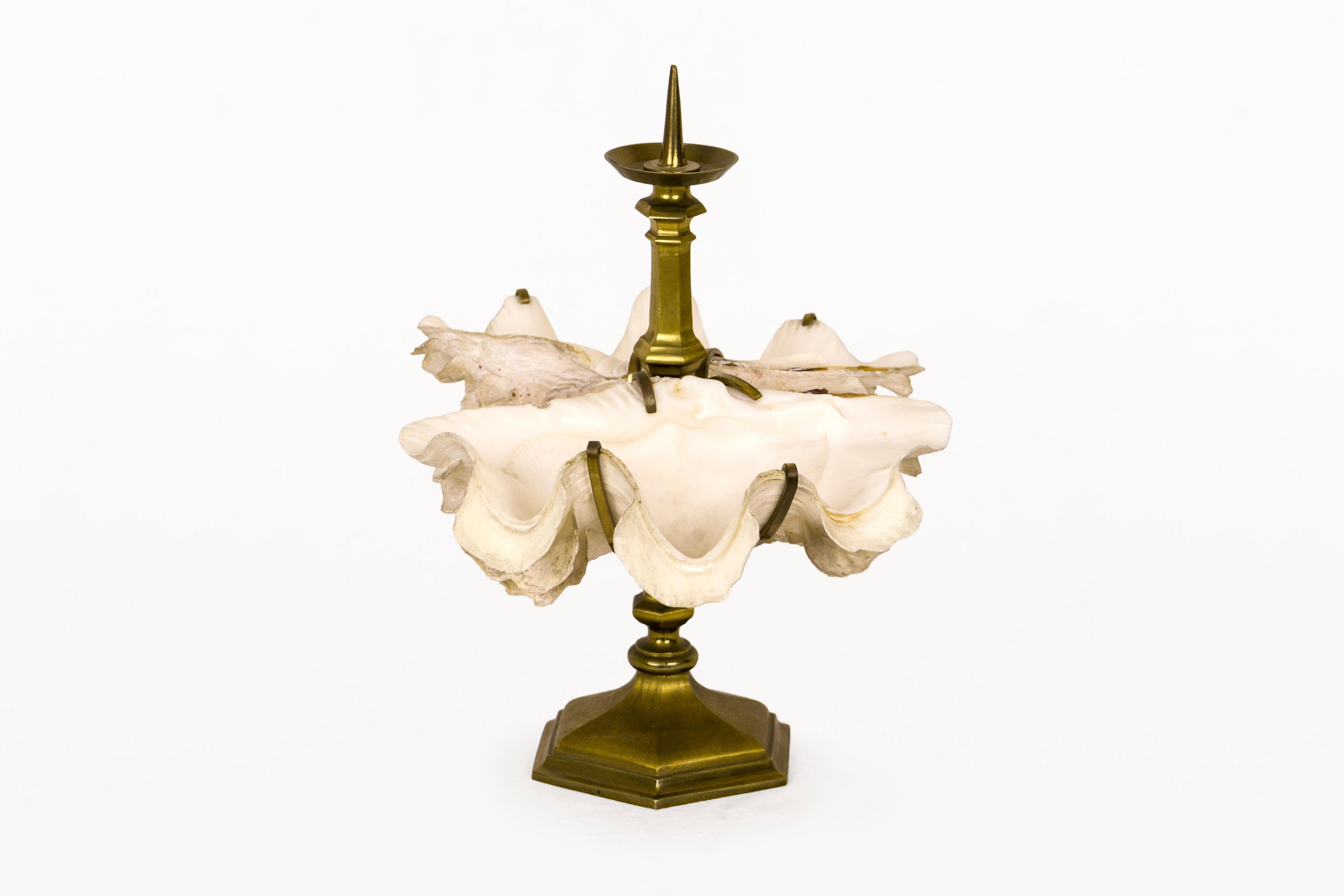 Paire de candélabres de Gabriella Crespi.
Fabriqué en coquillage et en bronze.
Monture en bronze doré retenant deux grands coquillages naturels.
Très décoratif.
Signé par le designer.
Circa 1970, Italie
Très bon état vinatge.
Née en 1922, Gabriella