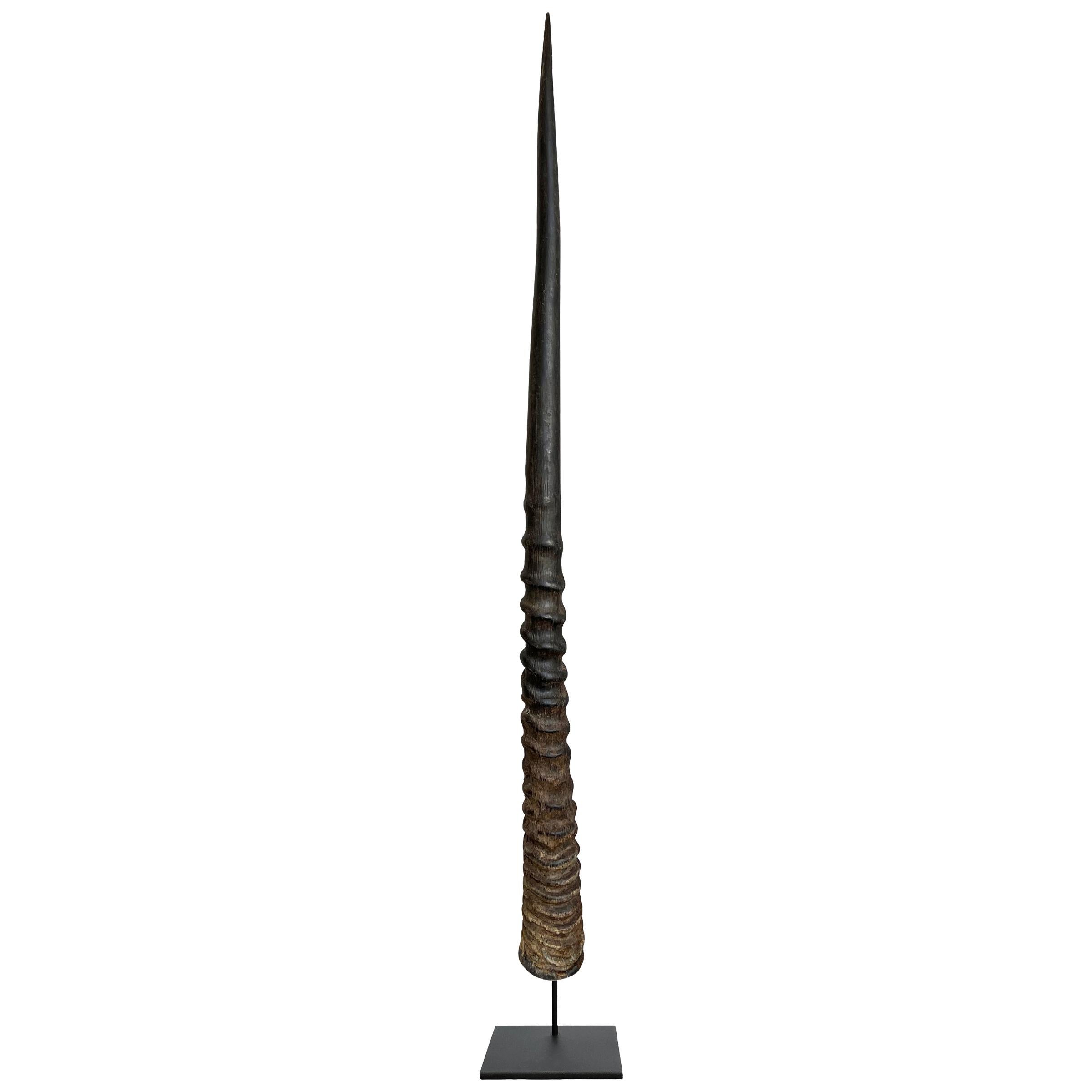 Rustic Pair of Gemsbok Horns on Custom Mounts