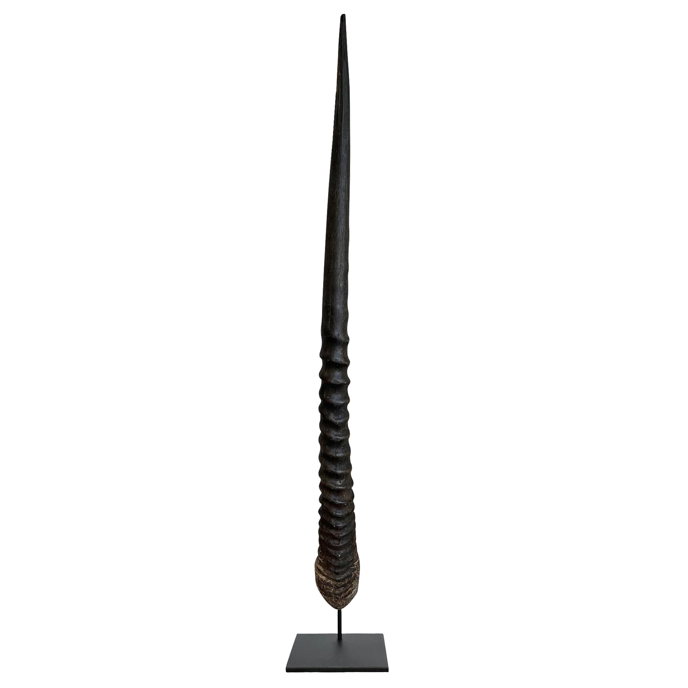 South African Pair of Gemsbok Horns on Custom Mounts