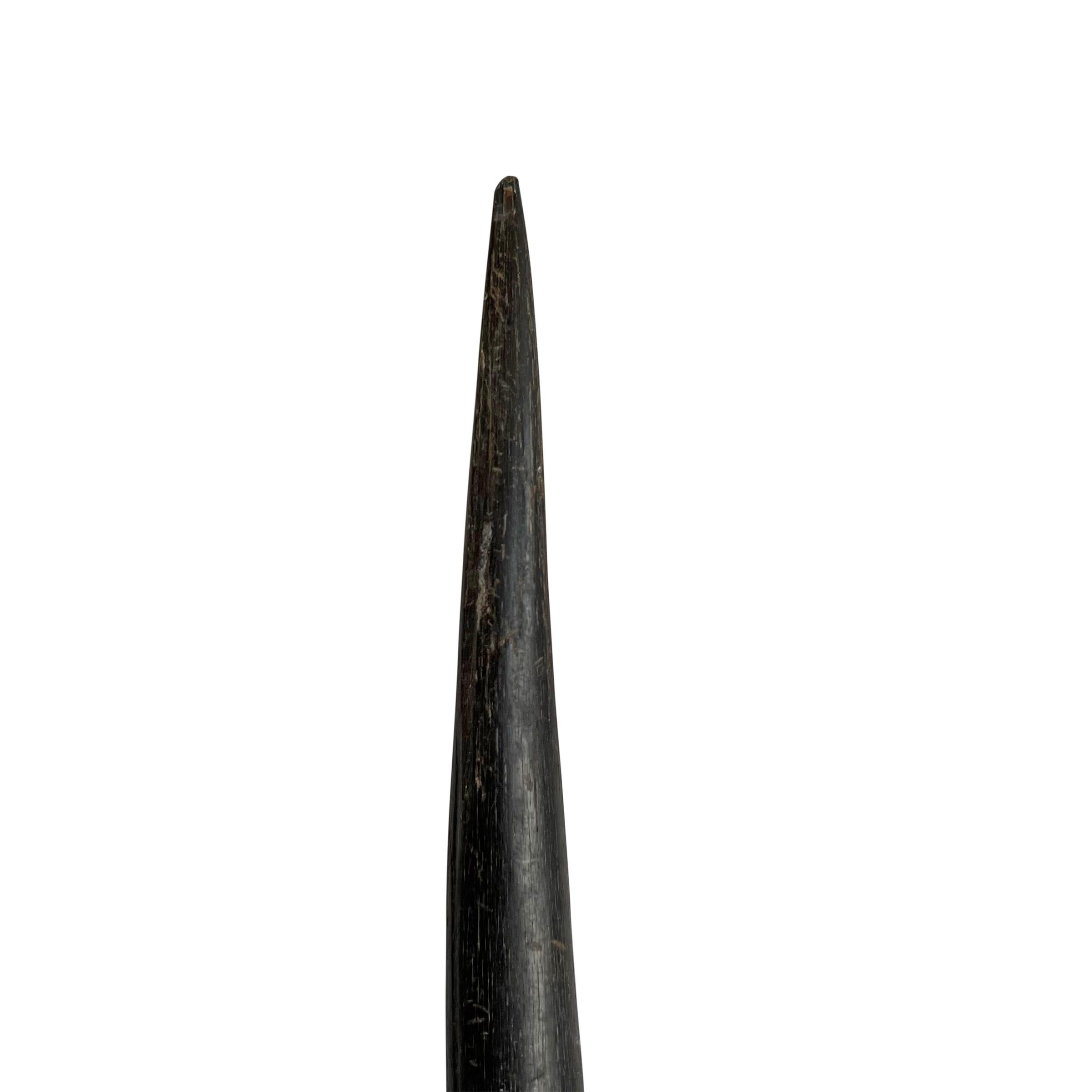 Pair of Gemsbok Horns on Custom Mounts In Good Condition In Chicago, IL