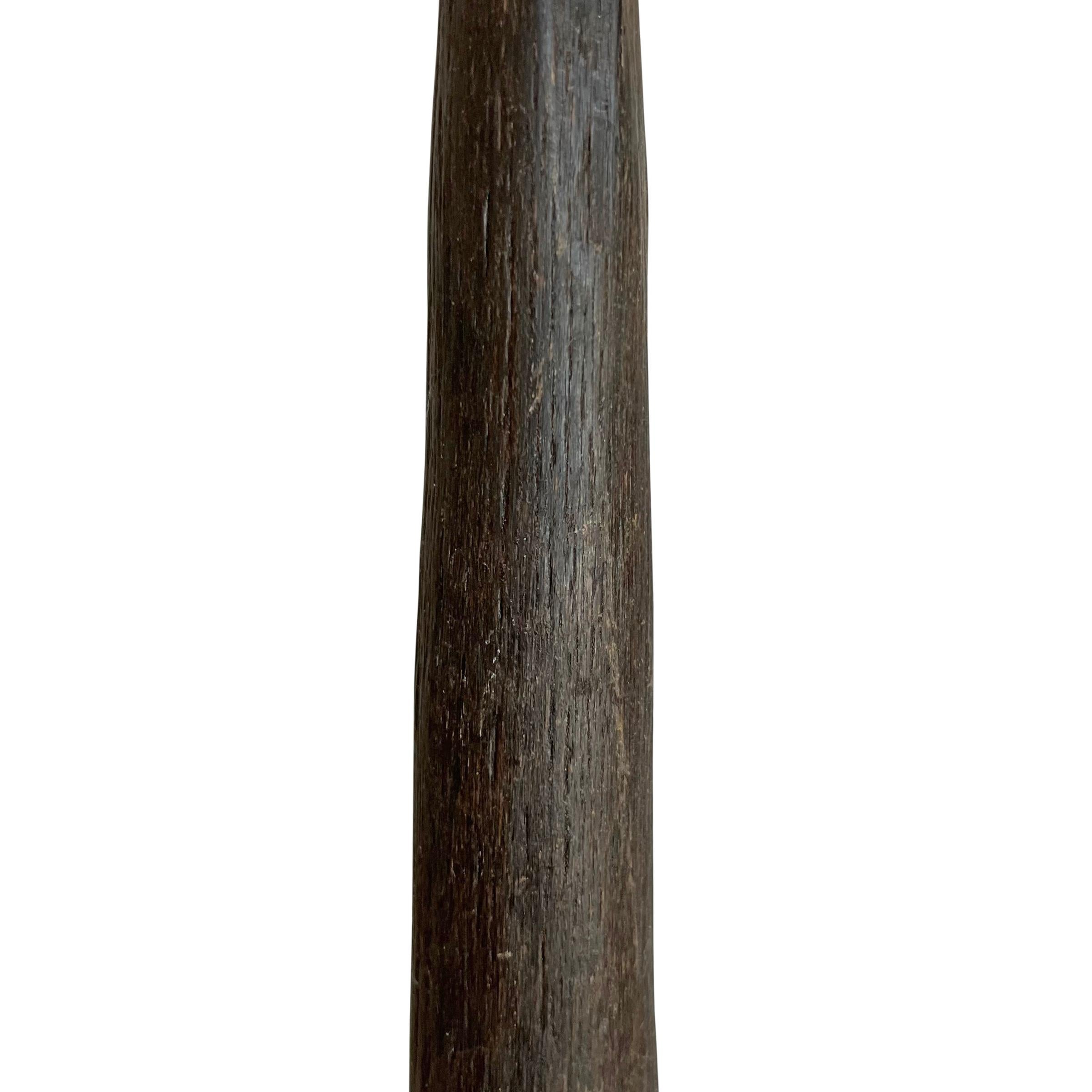 20th Century Pair of Gemsbok Horns on Custom Mounts