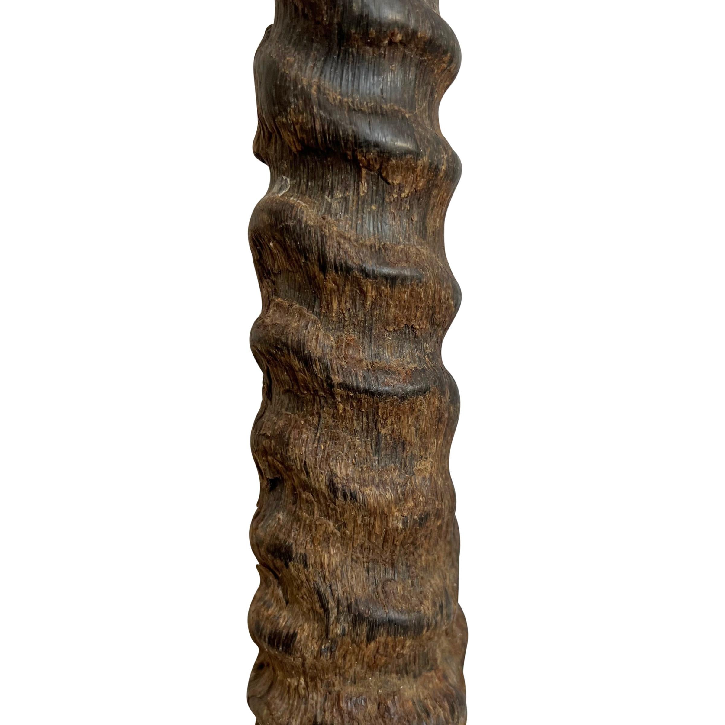 Pair of Gemsbok Horns on Custom Mounts 3