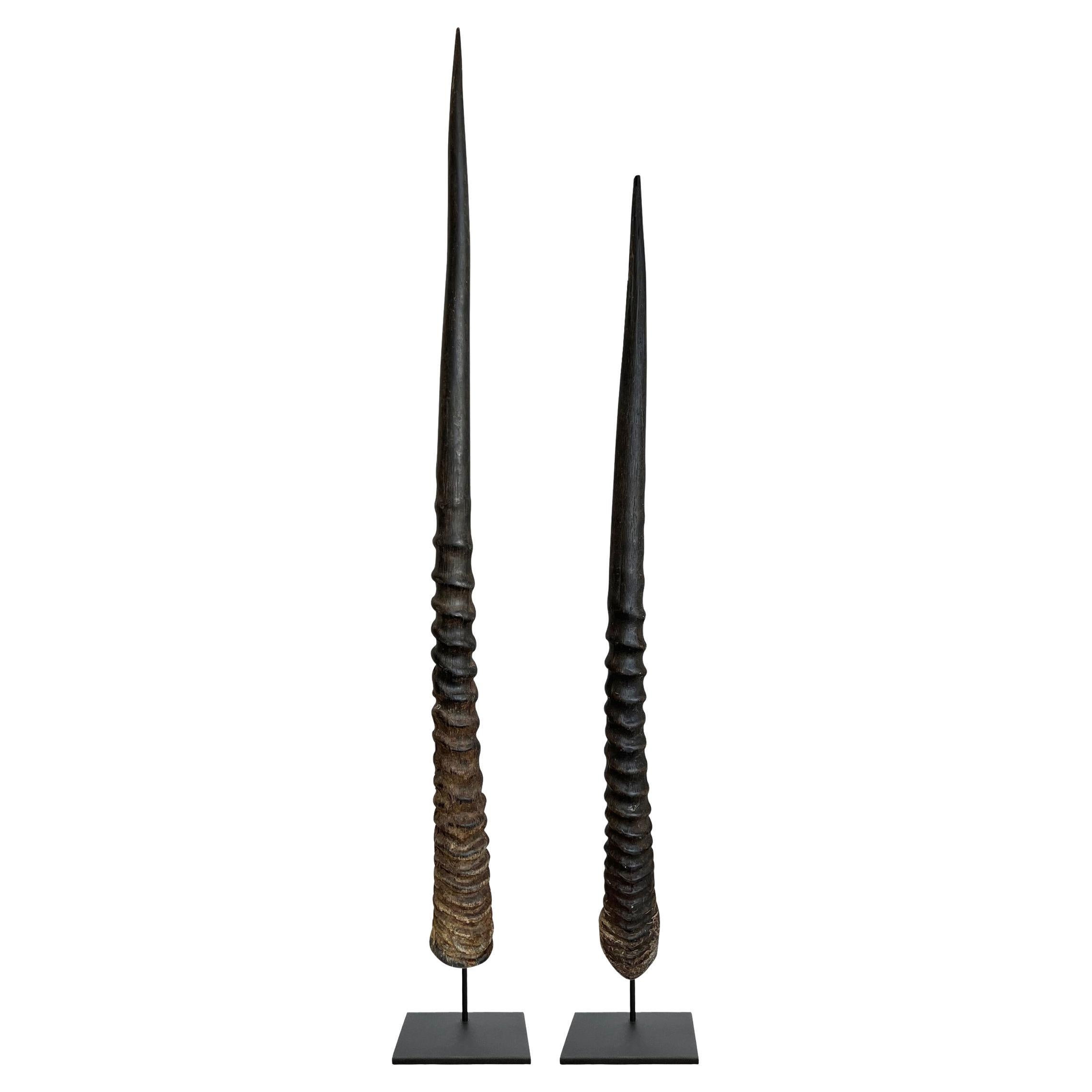 Pair of Gemsbok Horns on Custom Mounts For Sale