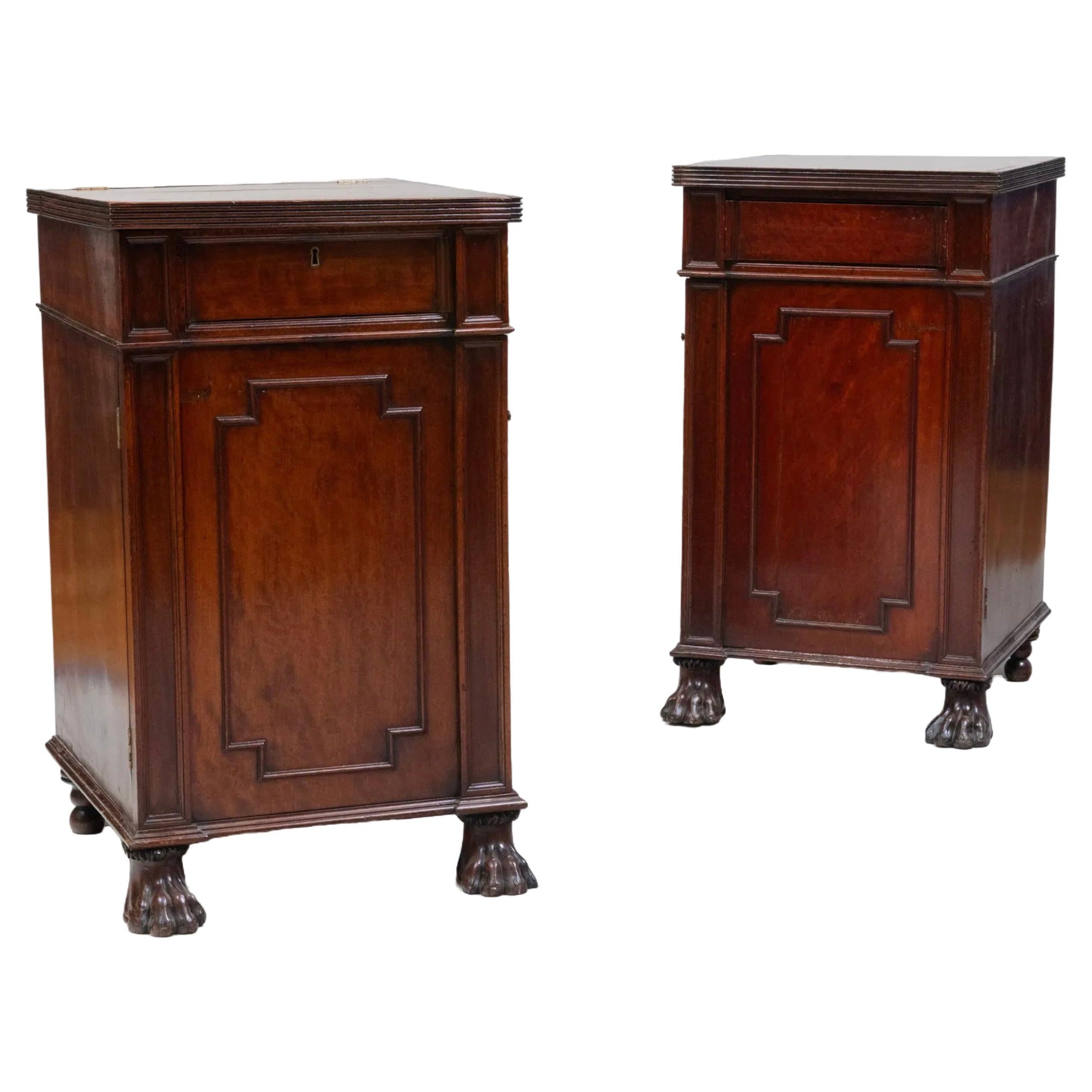 Pair of George III Mahogany Pedestal Cabinets For Sale
