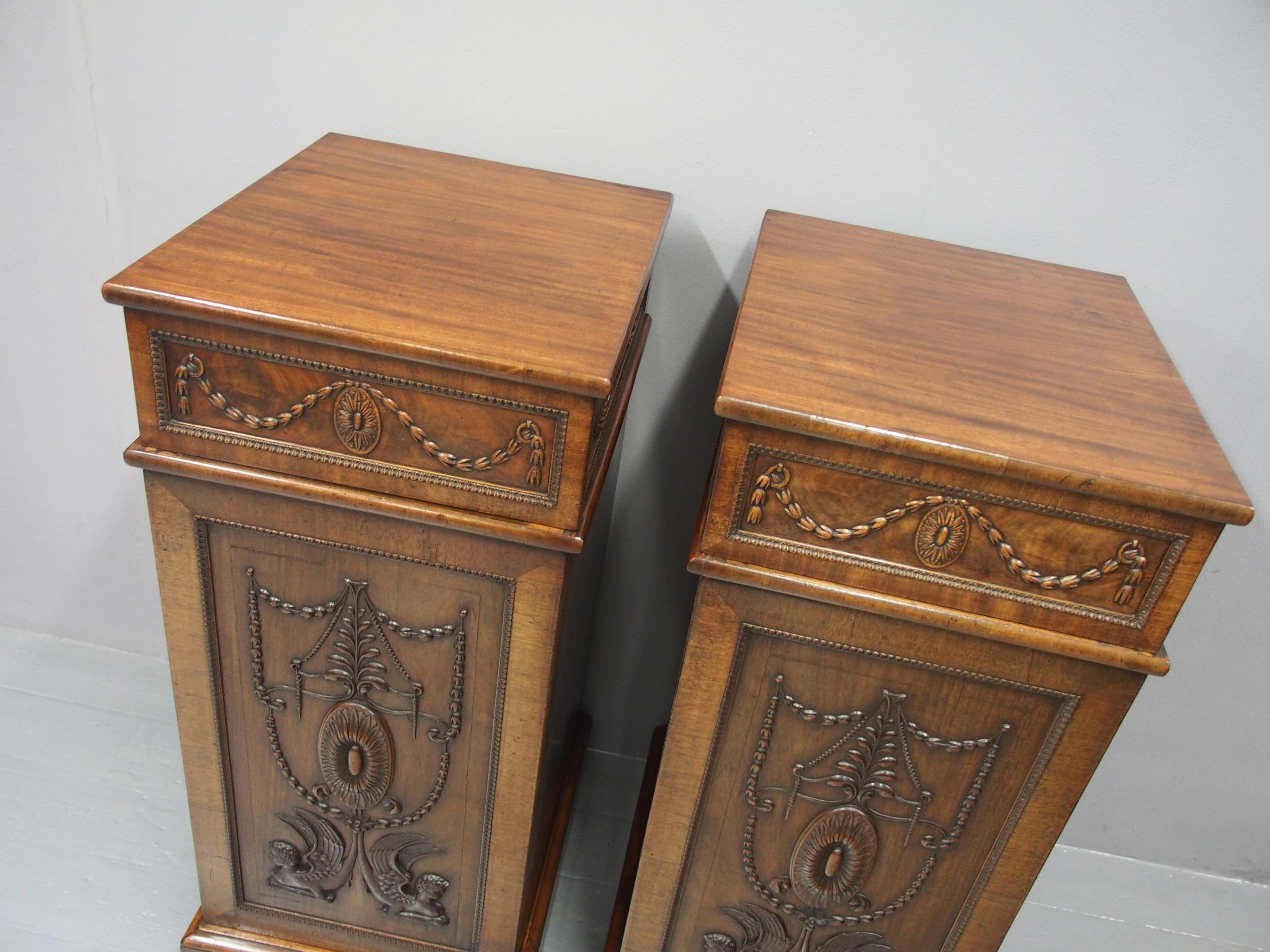 Pair of George III Mahogany Pedestals For Sale 2