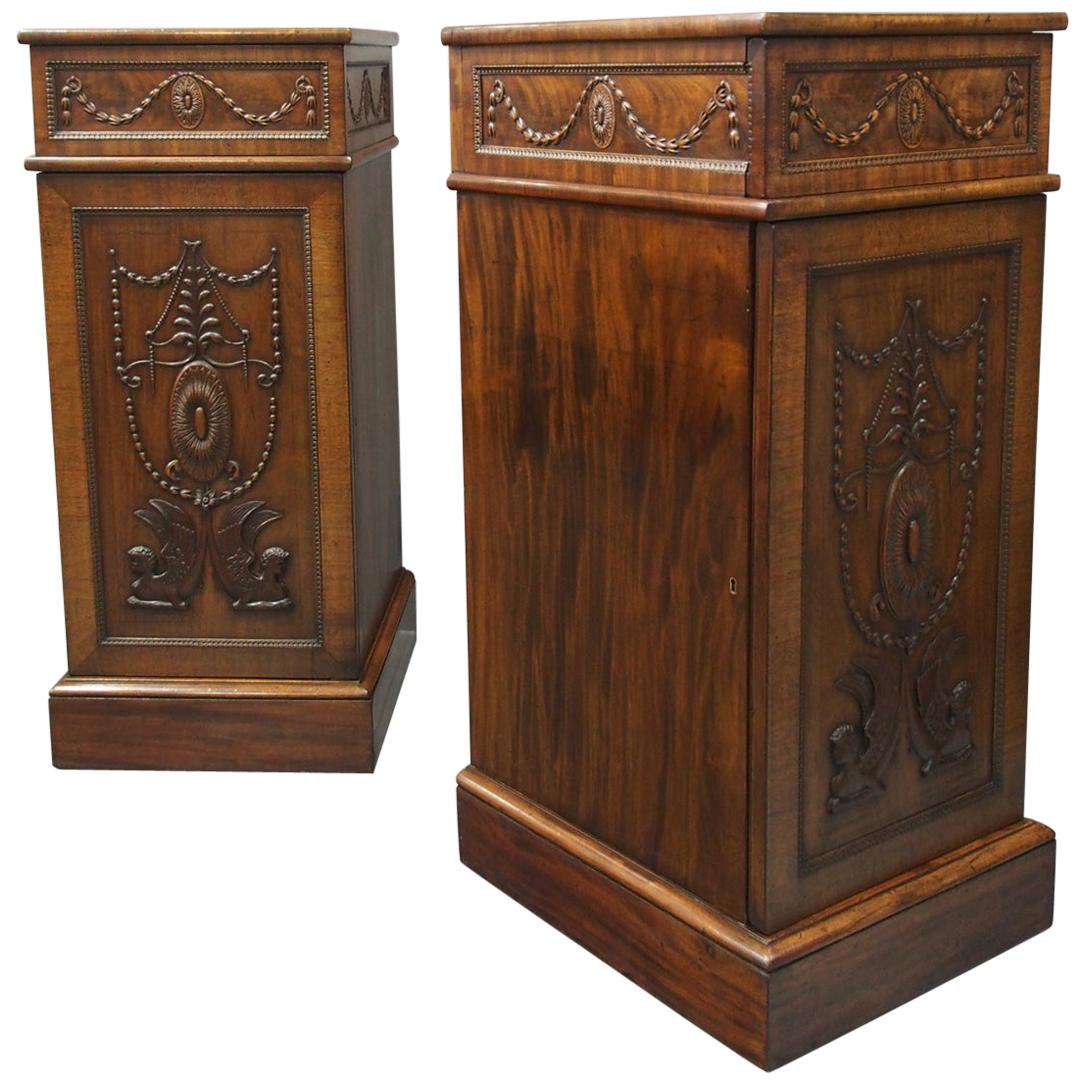 Pair of George III Mahogany Pedestals For Sale