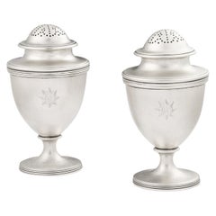 Paar Pfefferstreuer aus der Zeit George III., hergestellt in London von John Emes, 1805