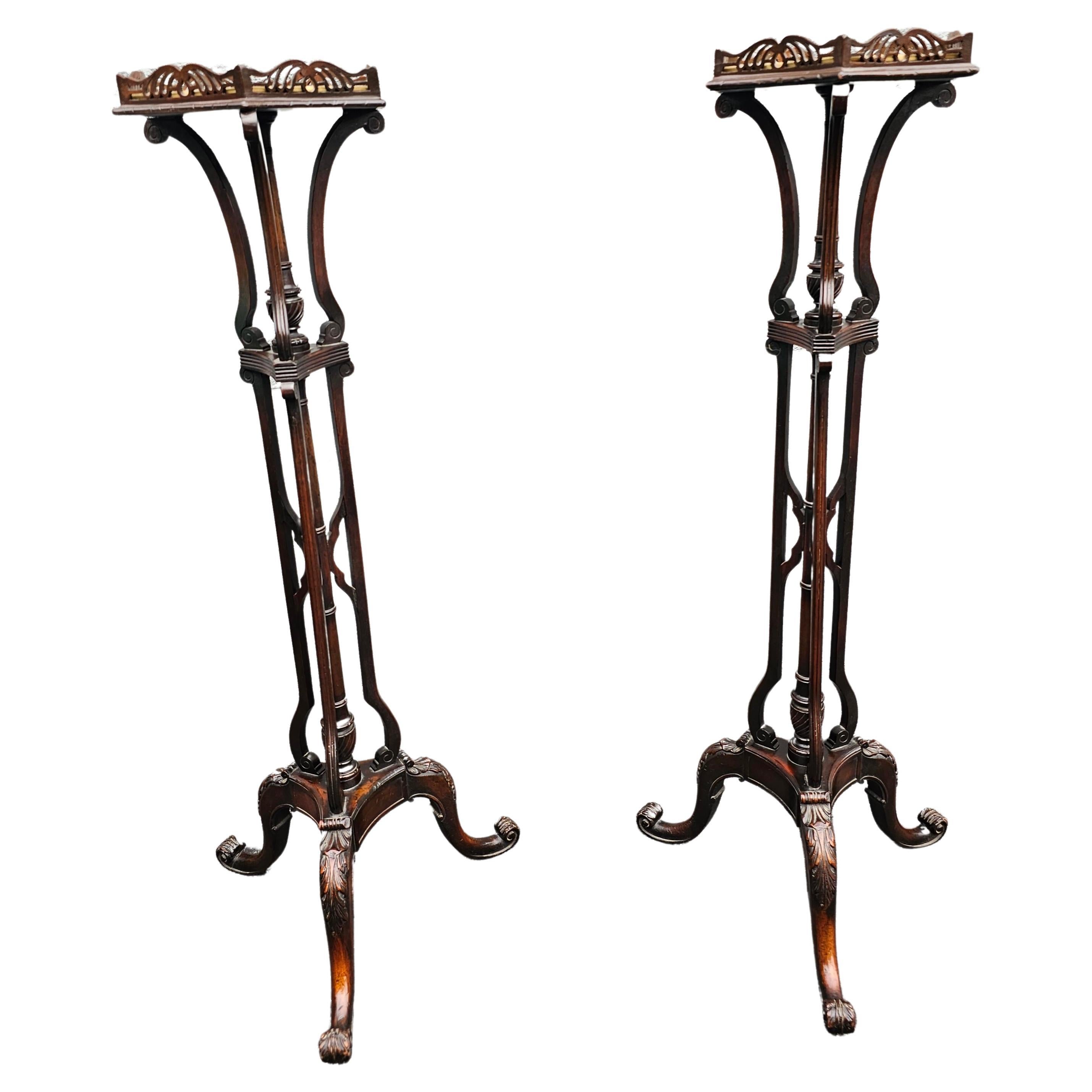 Pair of George III Style Carved and Galleried Mahogany Padestal-Fern Stands For Sale 1