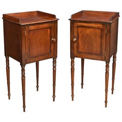 Pair of George III Style Mahogany Bedside Cupboards