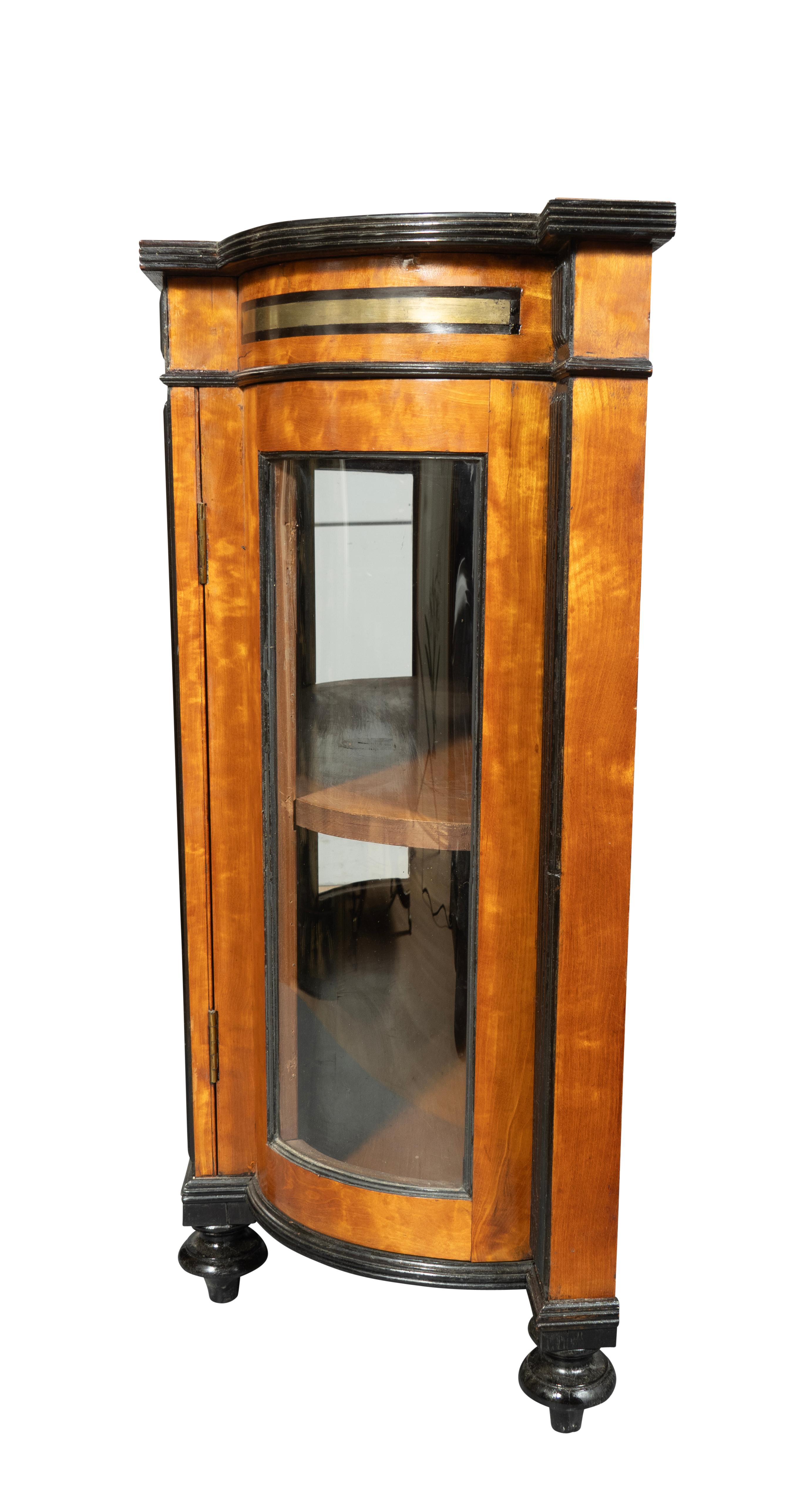 Pair Of George IV Satinwood And Ebonized Cabinets For Sale 5