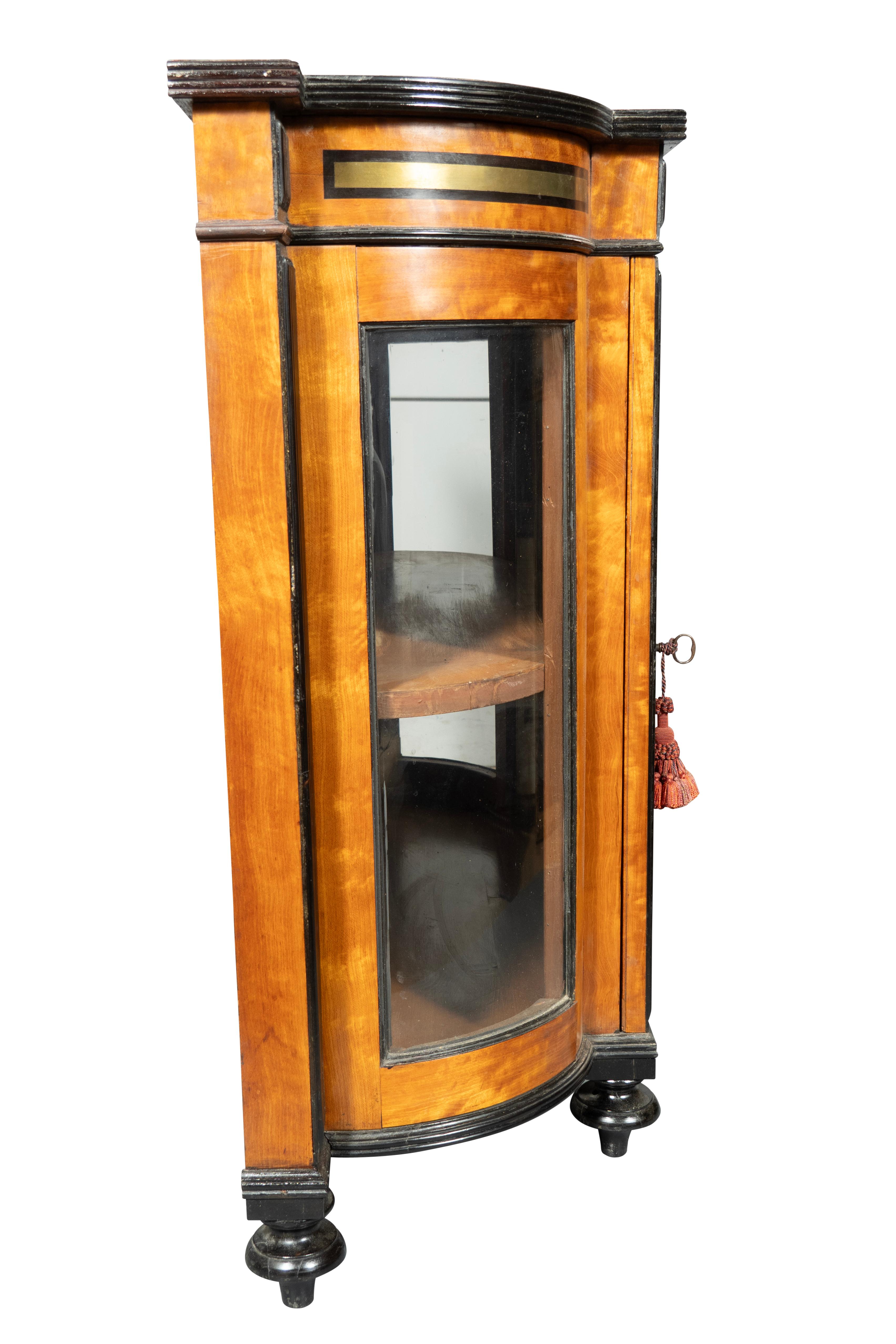Pair Of George IV Satinwood And Ebonized Cabinets For Sale 3
