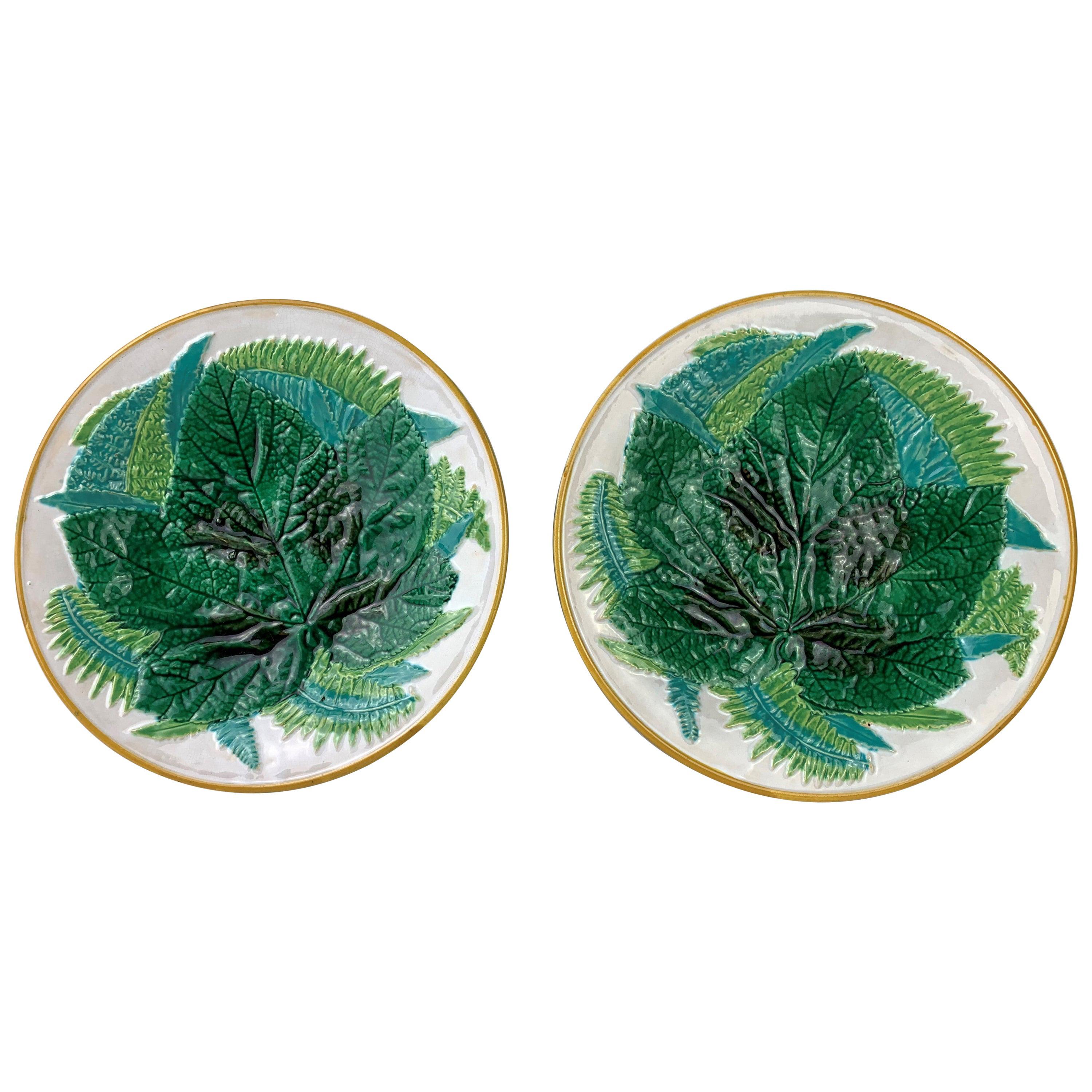 Pair of George Jones Majolica Leaf and Ferns Plates White Ground, English