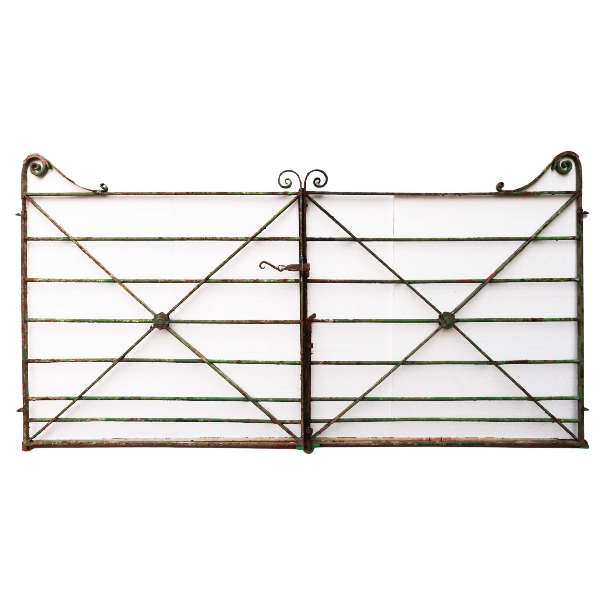 Pair of Georgian Wrought Iron Estate Gates For Sale