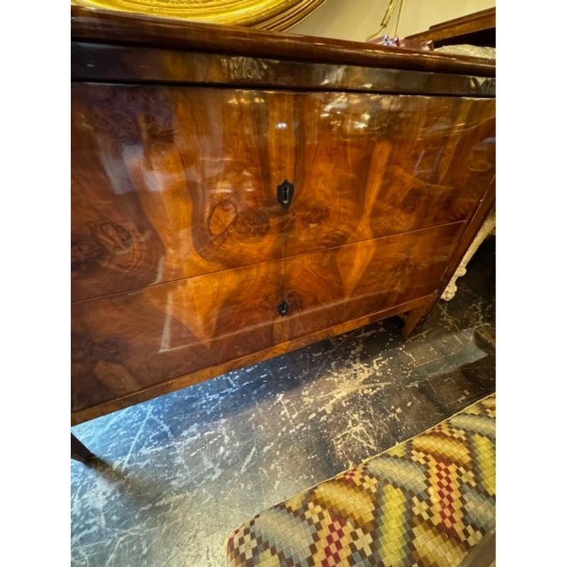Pair of German 19th Century Walnut Biedermeier Commodes 7