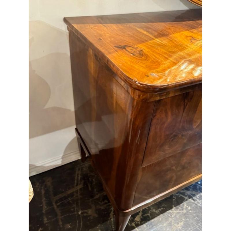 Pair of German 19th Century Walnut Biedermeier Commodes 4