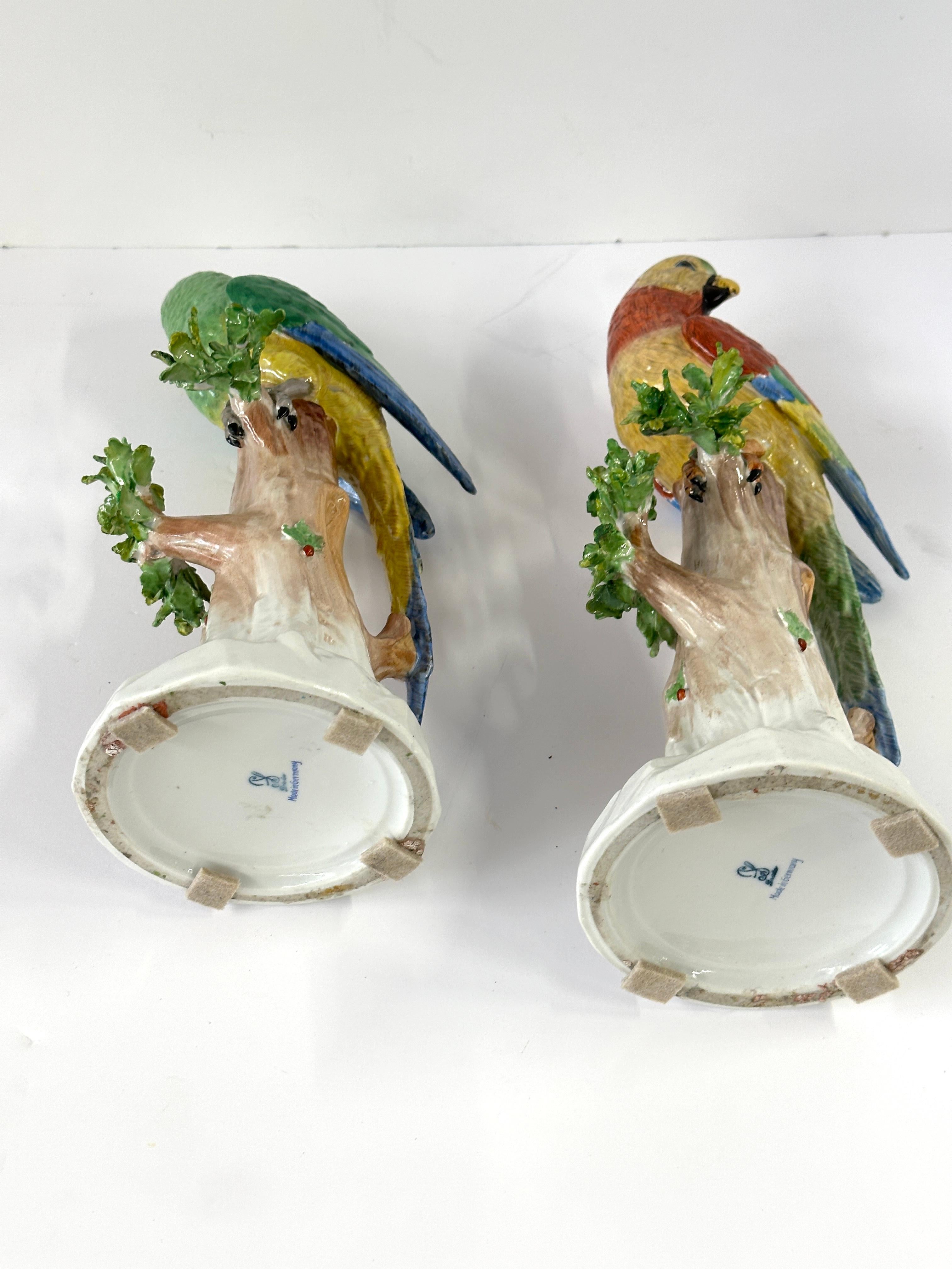 Pareja de loros altos alemanes de Dresde en venta 7