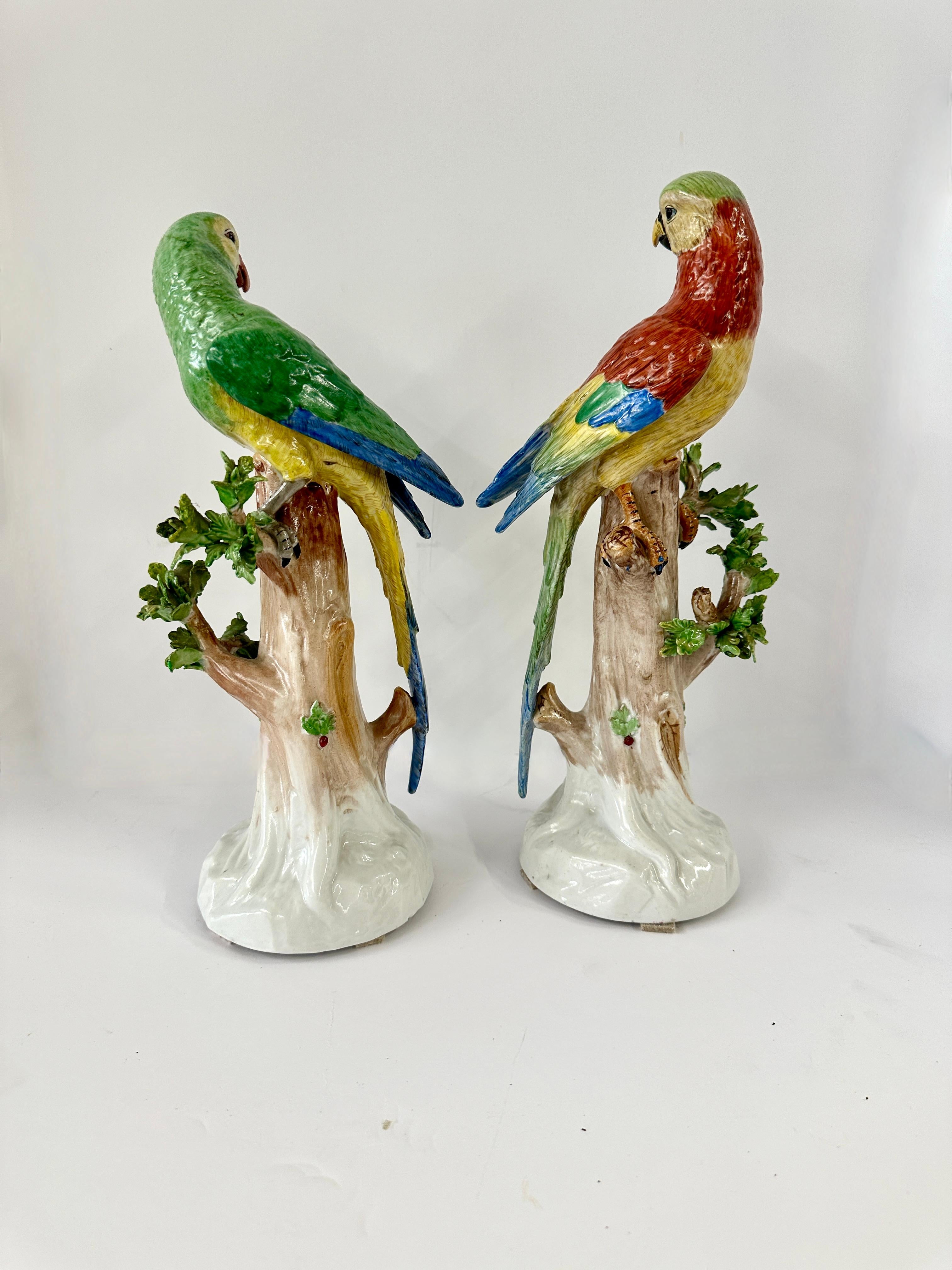 Pareja de loros altos alemanes de Dresde Alemán en venta