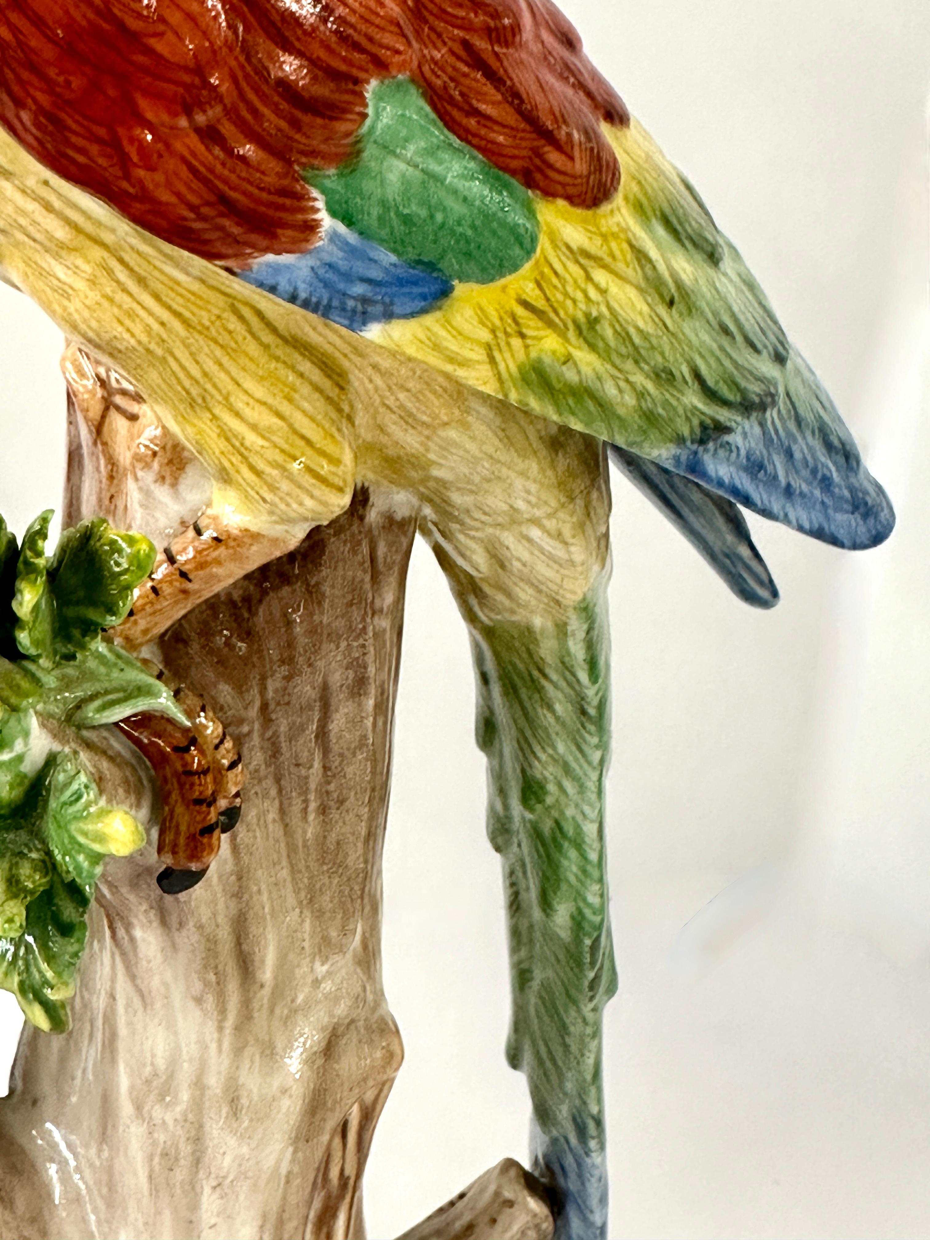 Pareja de loros altos alemanes de Dresde en Bueno estado para la venta en Palm Springs, CA