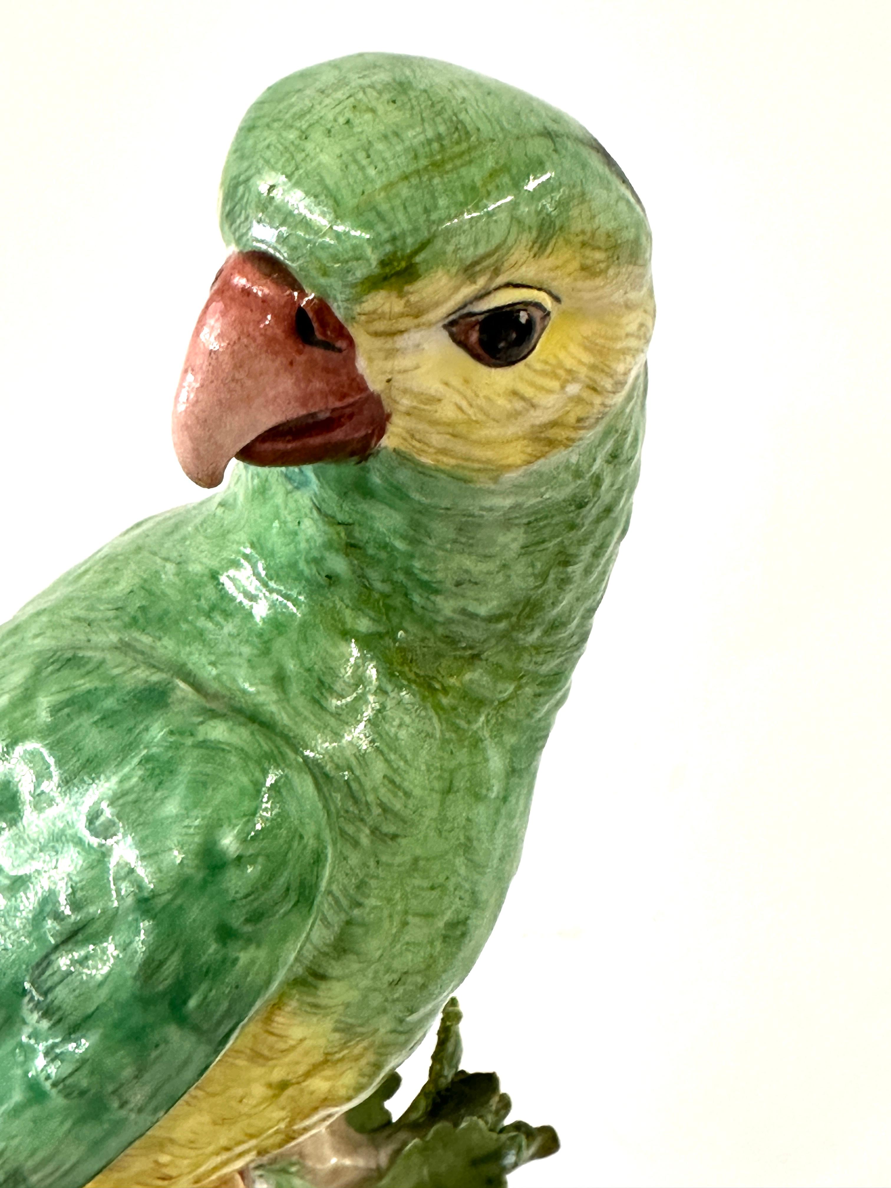 Pareja de loros altos alemanes de Dresde en venta 2