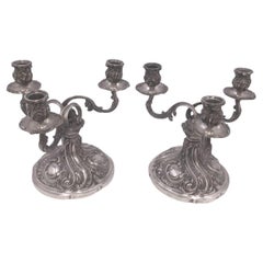 Pair of German Silver Candelabra with Foliage Pattern