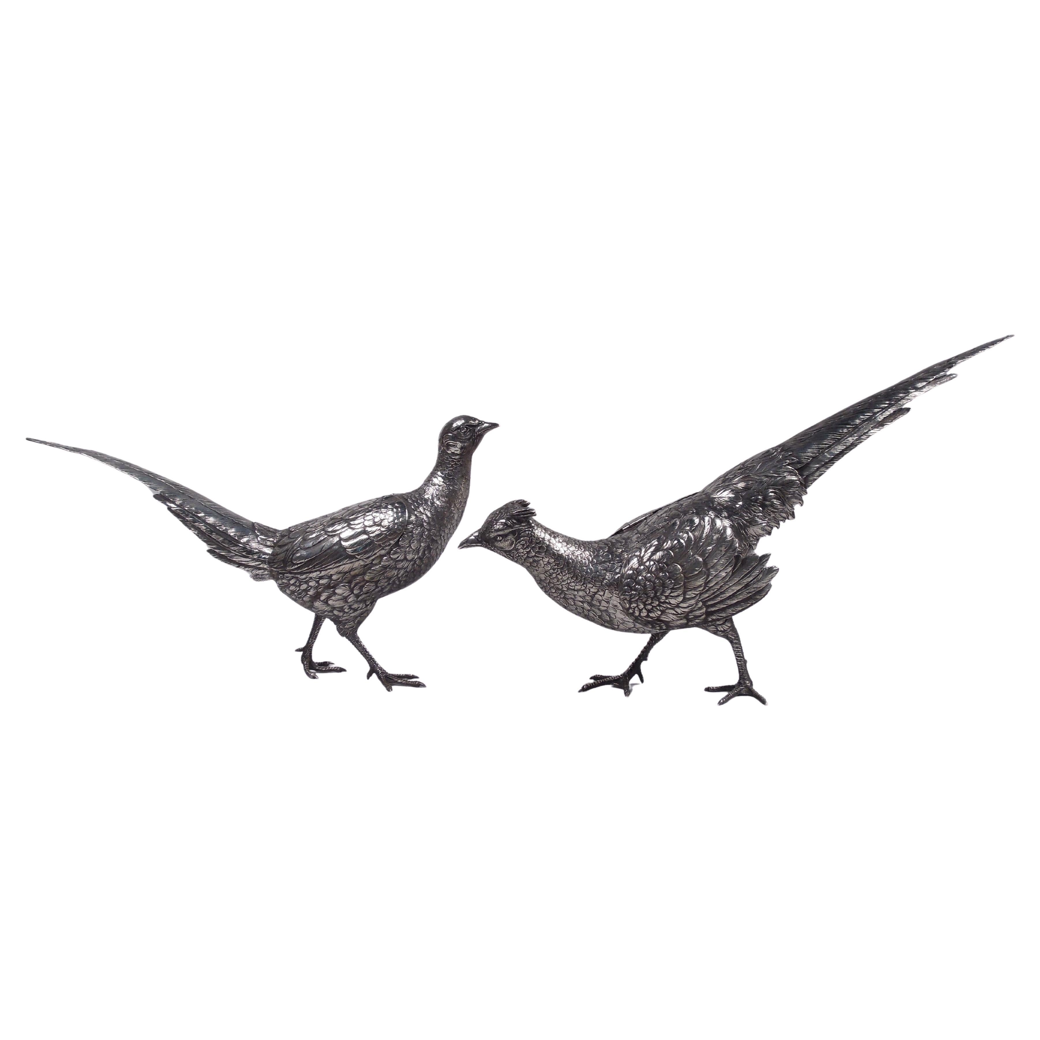 Pareja de aves de caza faisanes alemanes de plata con alas articuladas en venta
