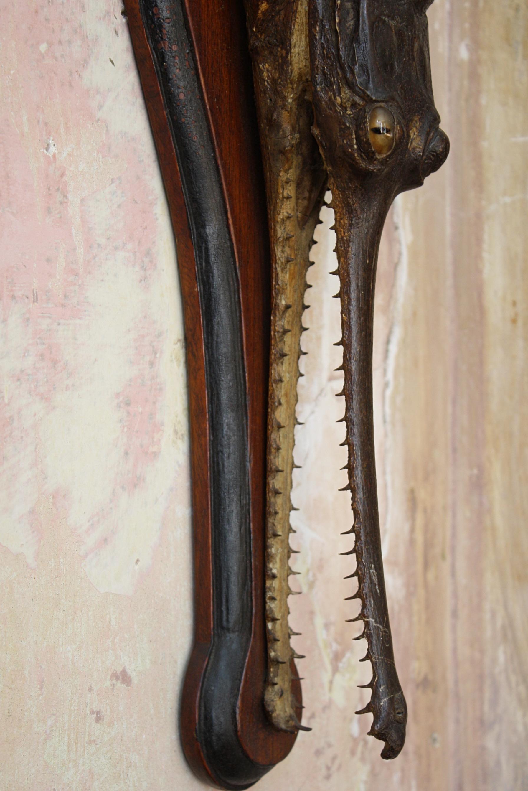 Natural Fiber Pair of Gharial 
