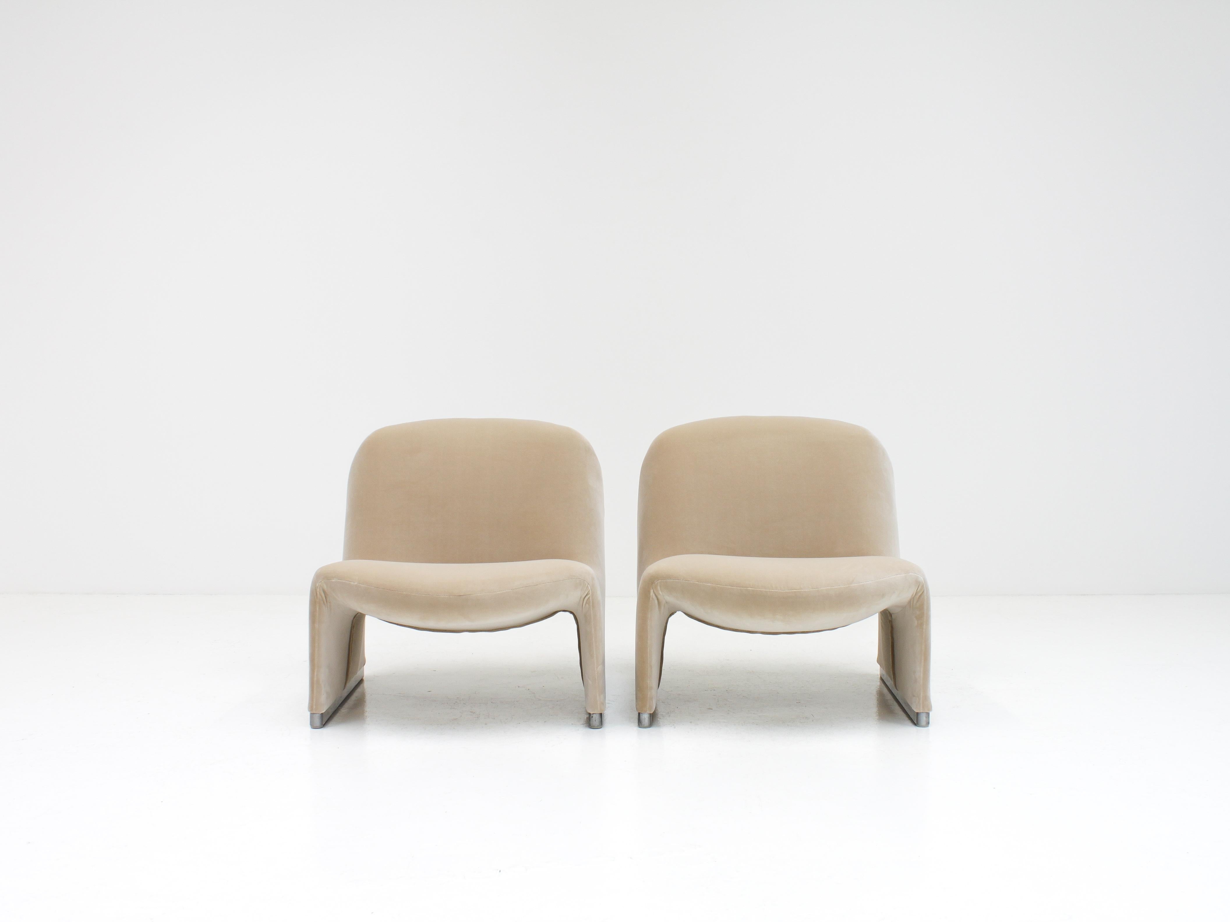 Giancarlo Piretti: „Alky“-Stühle aus neuem Samt, Bezug, 1970er Jahre – „ustomizable“ (20. Jahrhundert) im Angebot