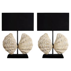 Pair of Giant Clam Lamps in Composite Material with Artisanal Patina
