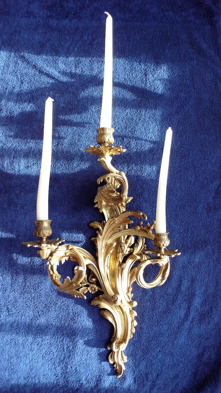 Pair of Gilded Bronze Louis XV Three-Light Sconces For Sale 2