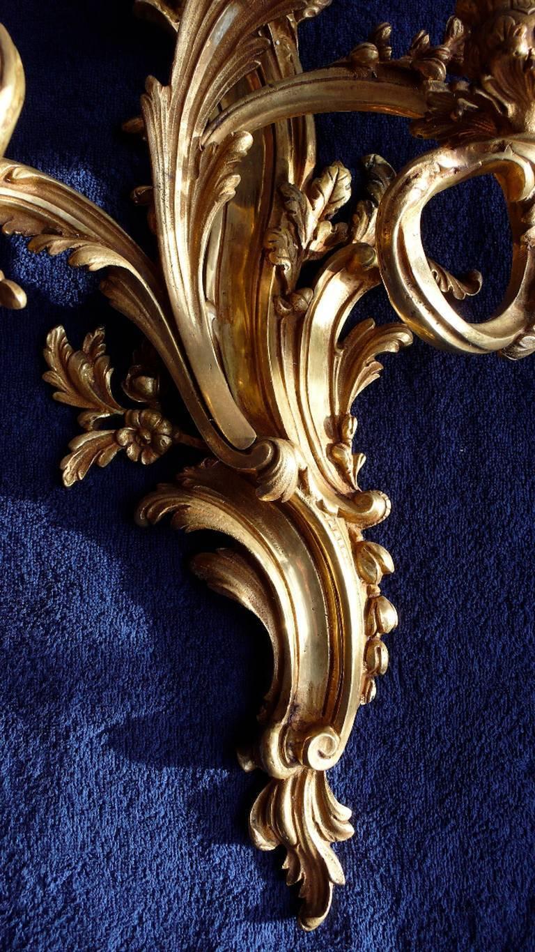 Pair of Gilded Bronze Louis XV Three-Light Sconces For Sale 4