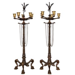 Pair of Gilt and Patinated Bronze Candelabra, France, 19th Century