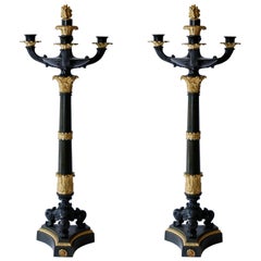 Pair of Gilt and Patinated Bronze Charles X Candelabra